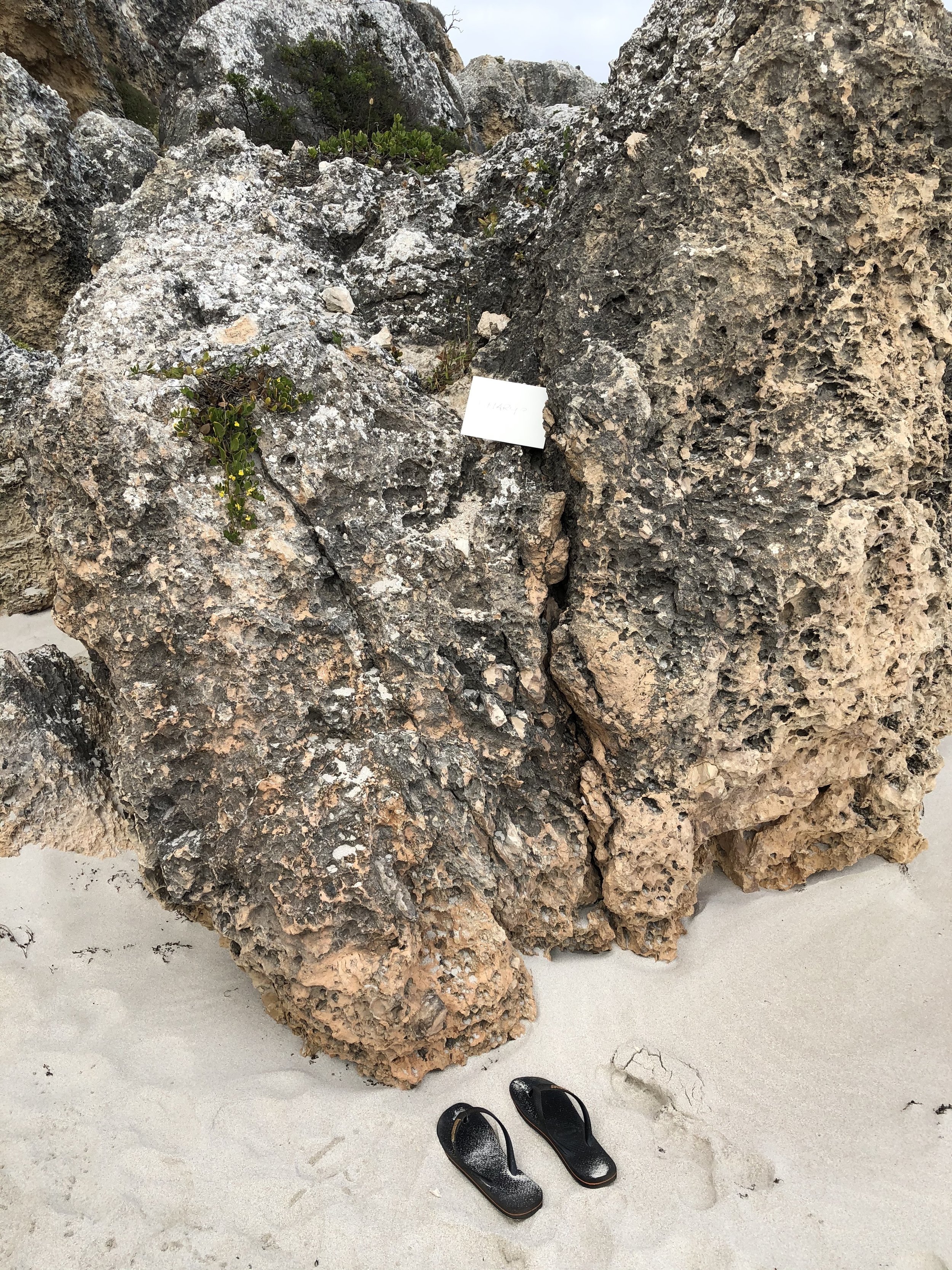 Many . Happy . Returns