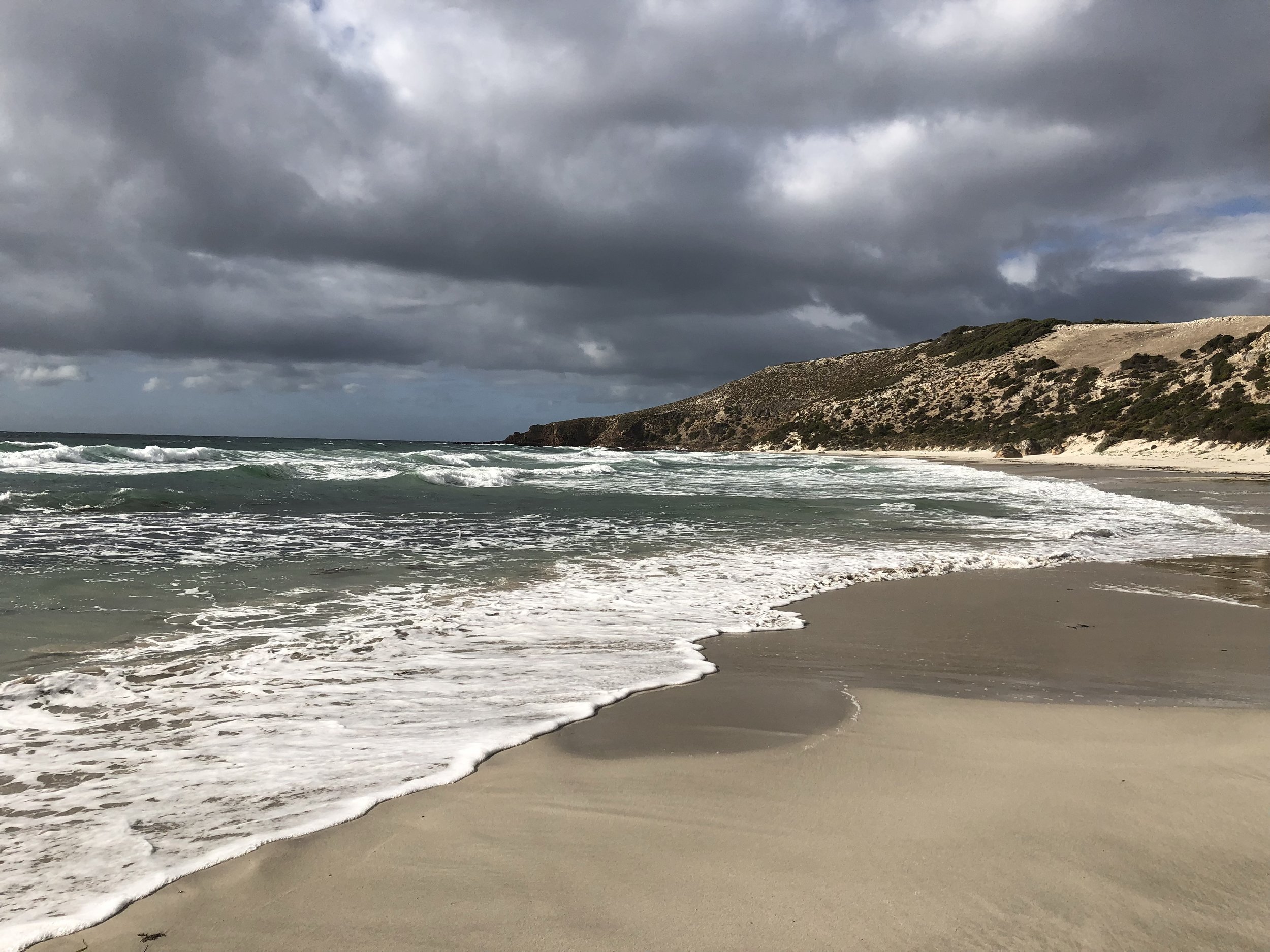 I . Miss . My . Beach