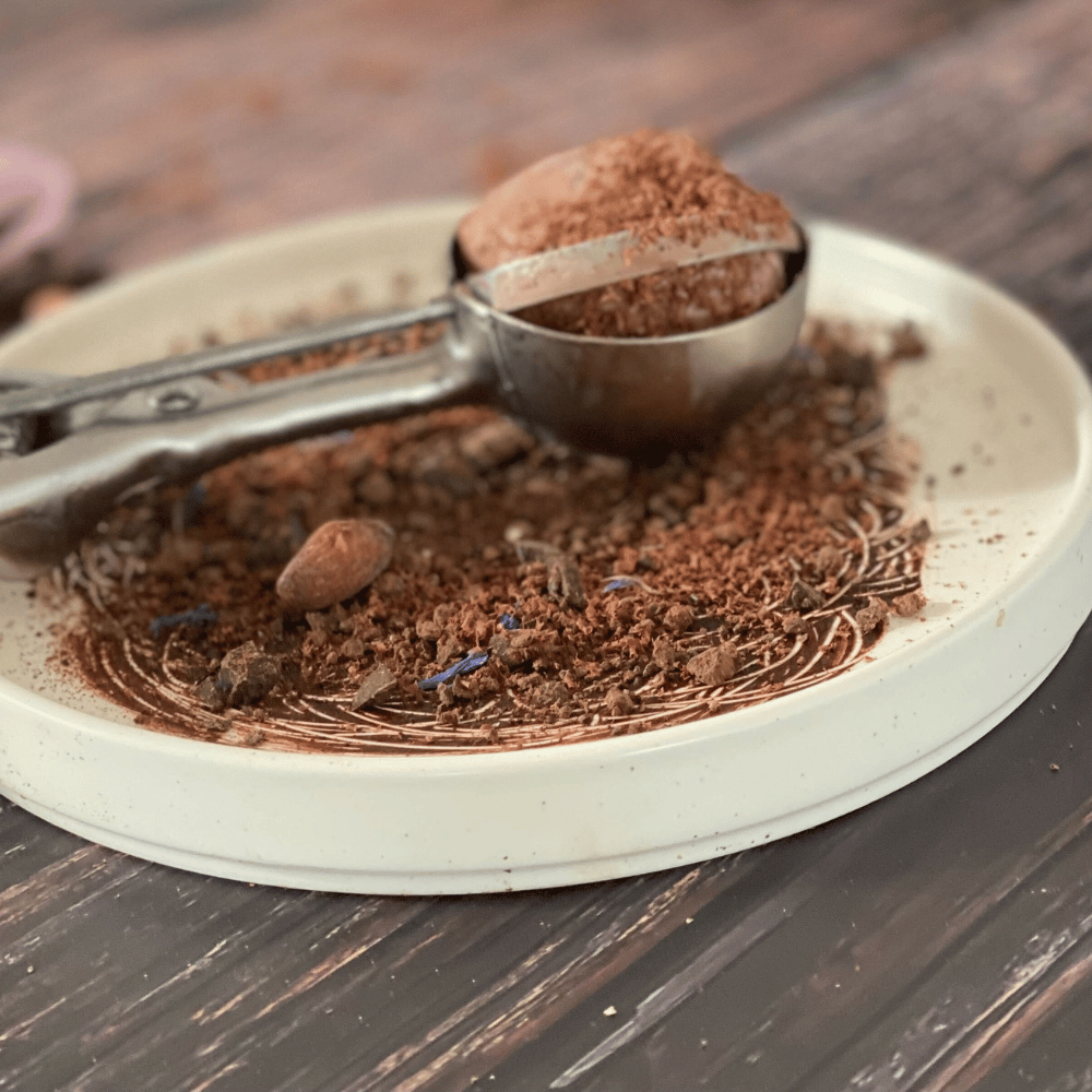 Scoop of chocolate ice cream with cocoa for an ice cream workshop for teams in Berlin