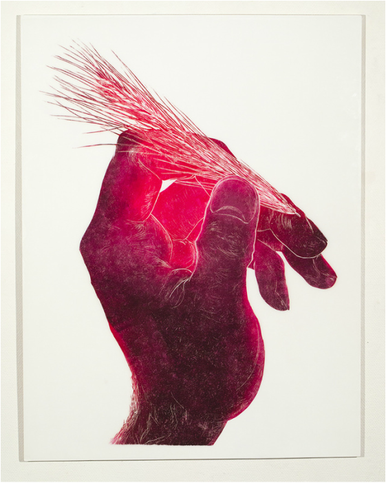 Hand with Grass Dart