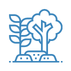 Copy of Copy of Untitled (5).png