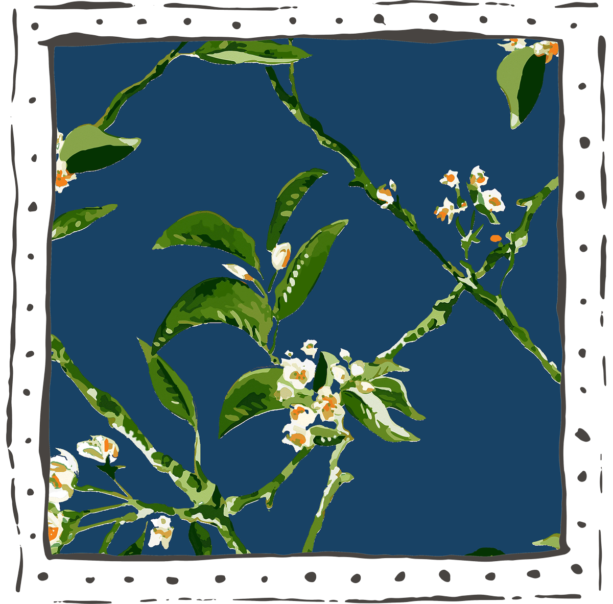 Trellis_Midnight.png