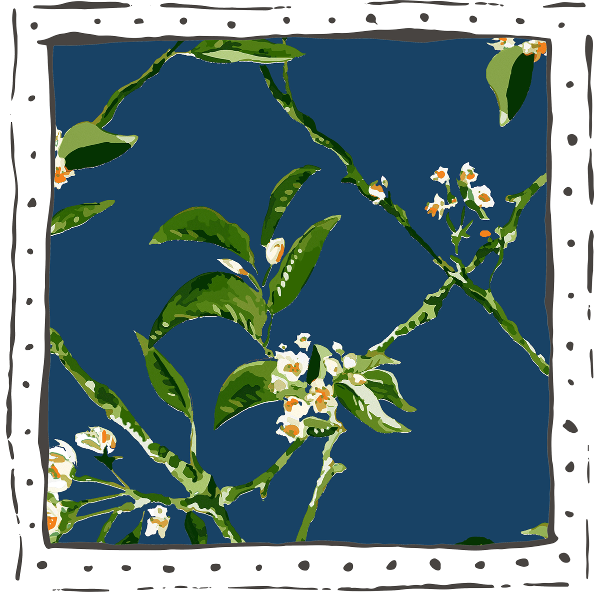 Trellis_Midnight.png
