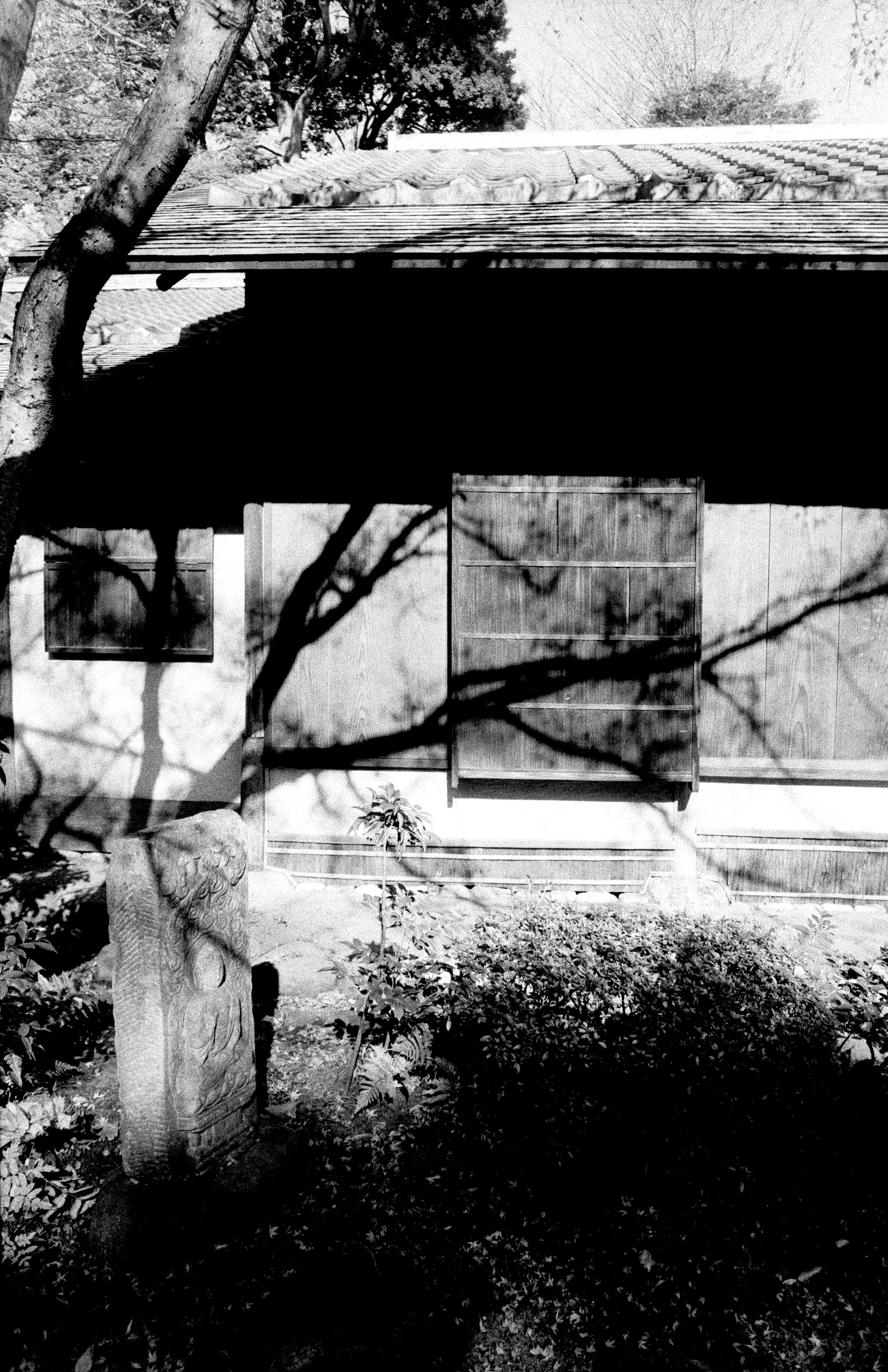BFD95D0F-9FF2-4D99-8104-719E7A069764_1_201_a.jpeg