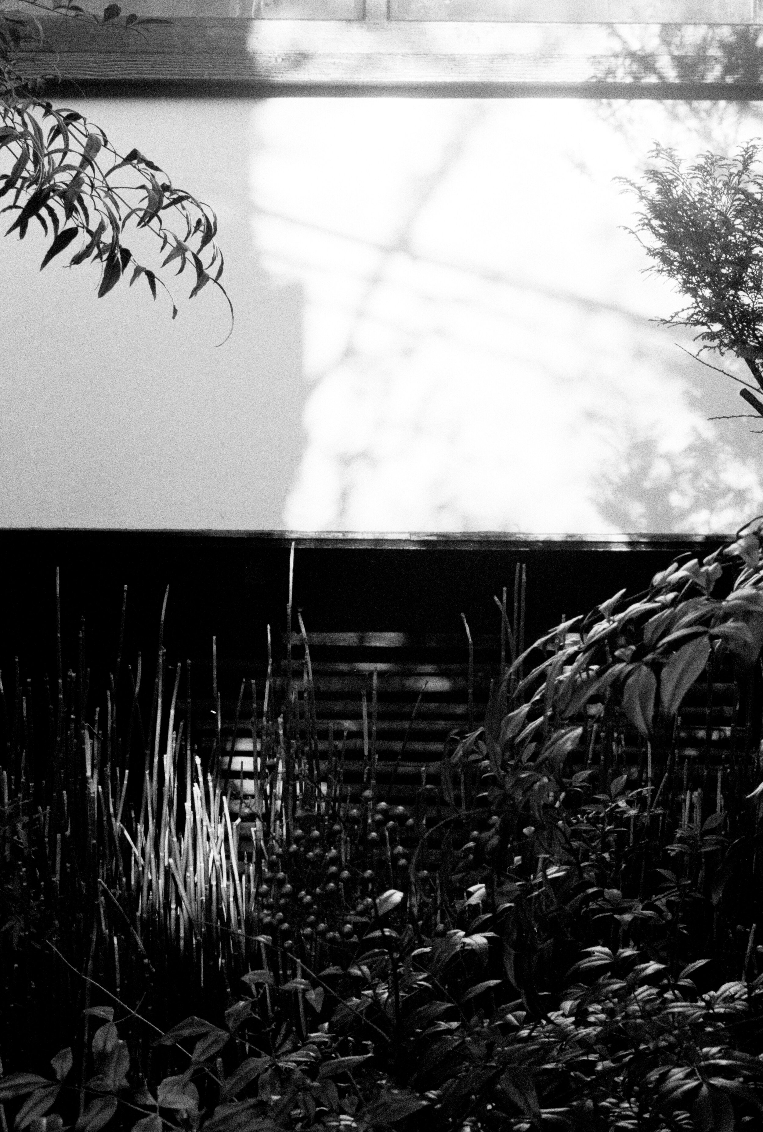 C275EC58-2562-4044-9FA2-E53FC154FA58_1_201_a.jpeg