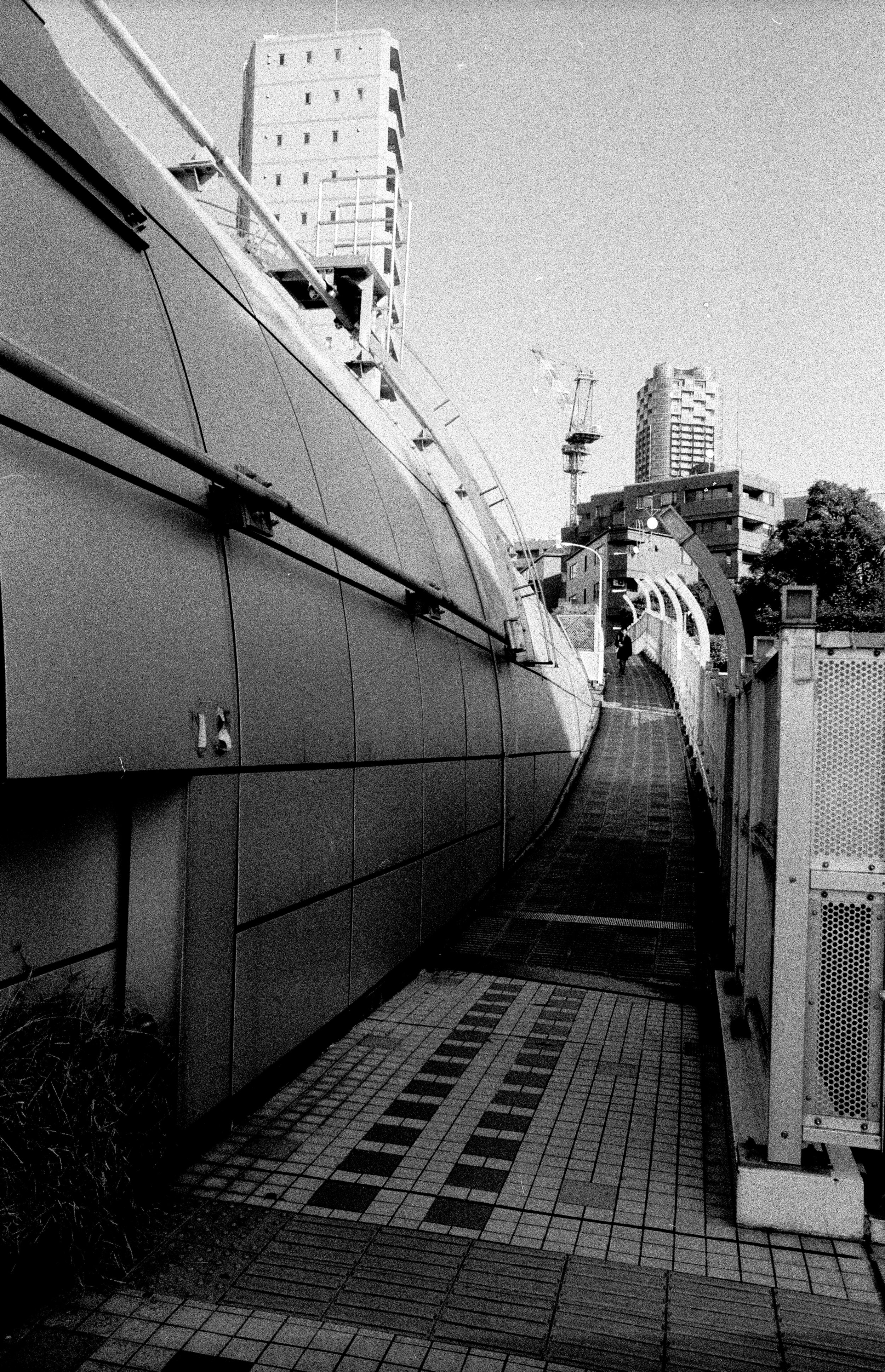 ABA8AE3D-FDE8-4C19-A69E-0031D395E99C_1_201_a.jpeg