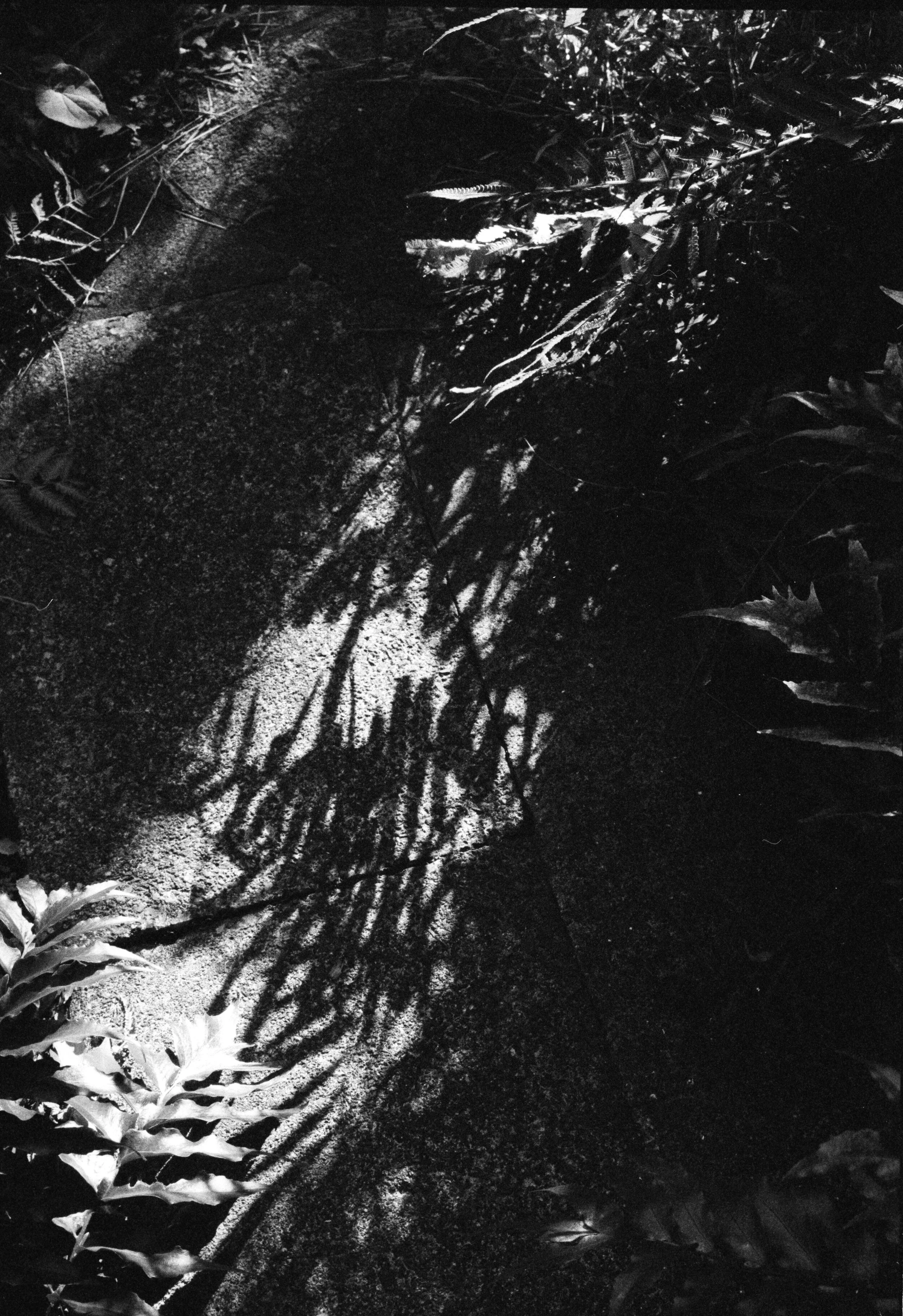 5227DC96-B4A2-4521-AE1C-6B299D8E0C02_1_201_a.jpeg