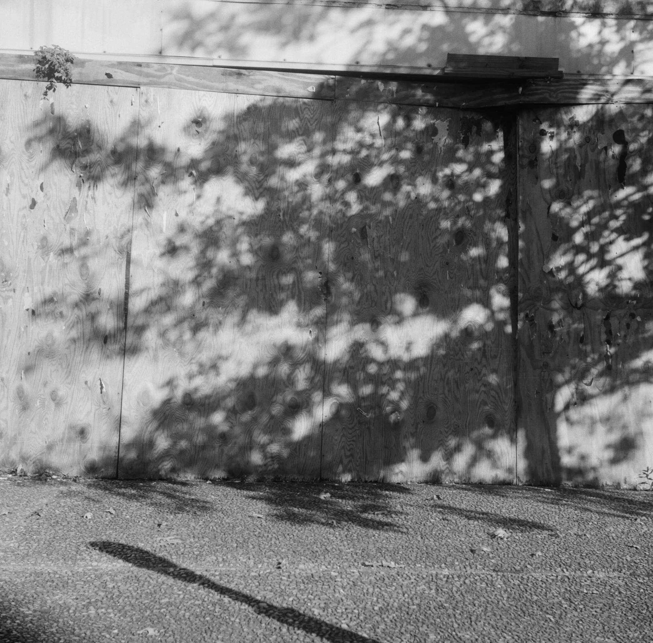 419271_0730_06.jpg
