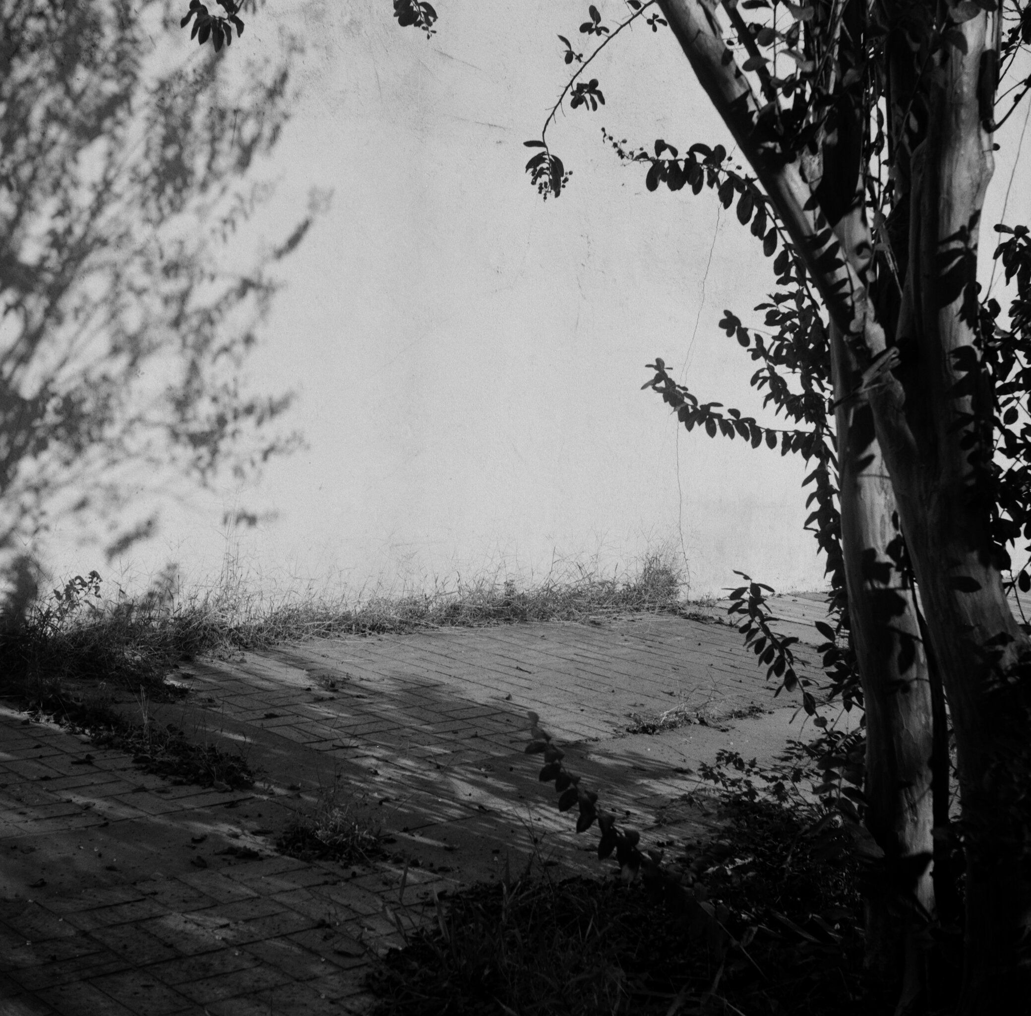 419271_0731_04.jpg