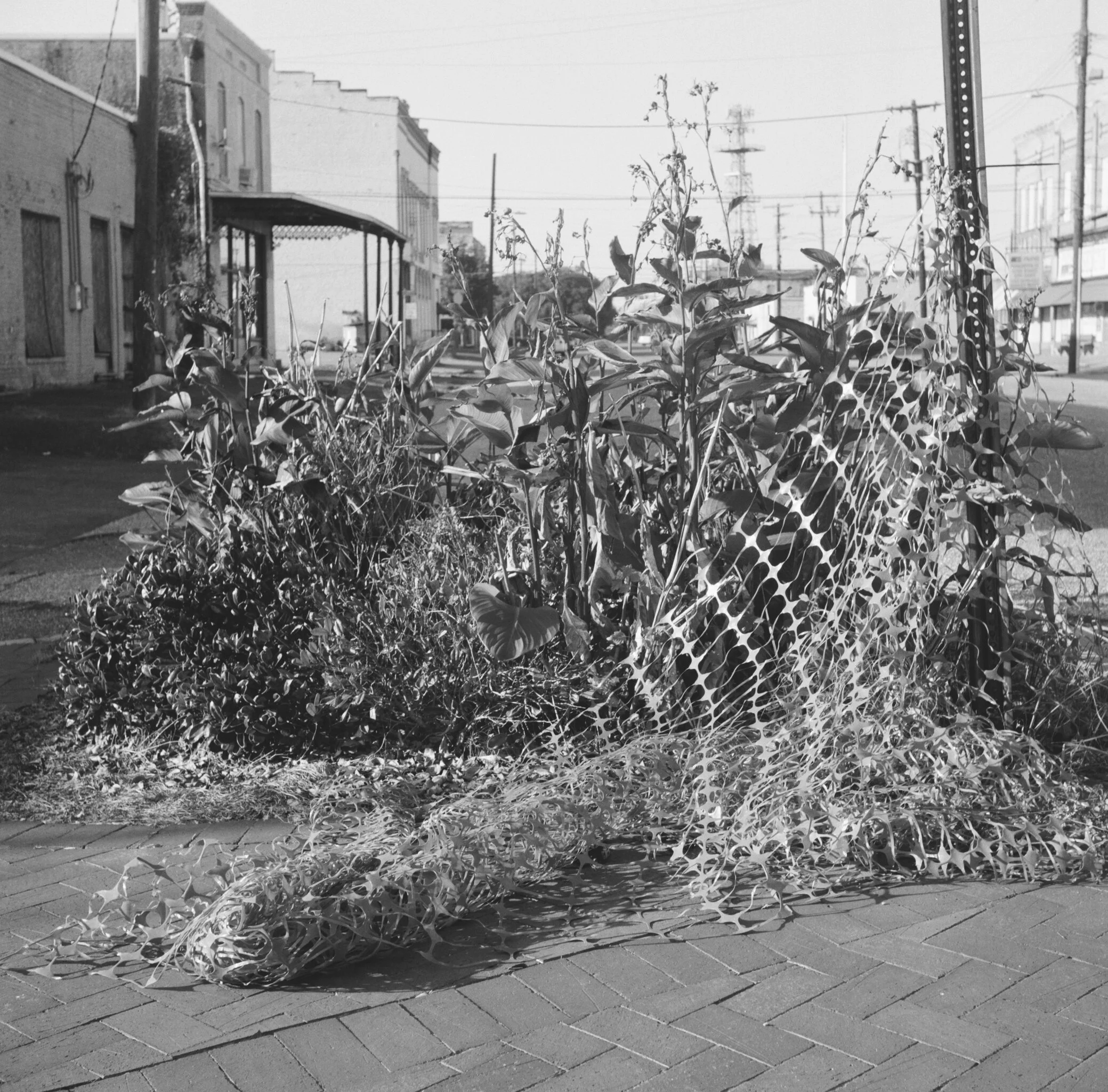419271_0731_08.jpg