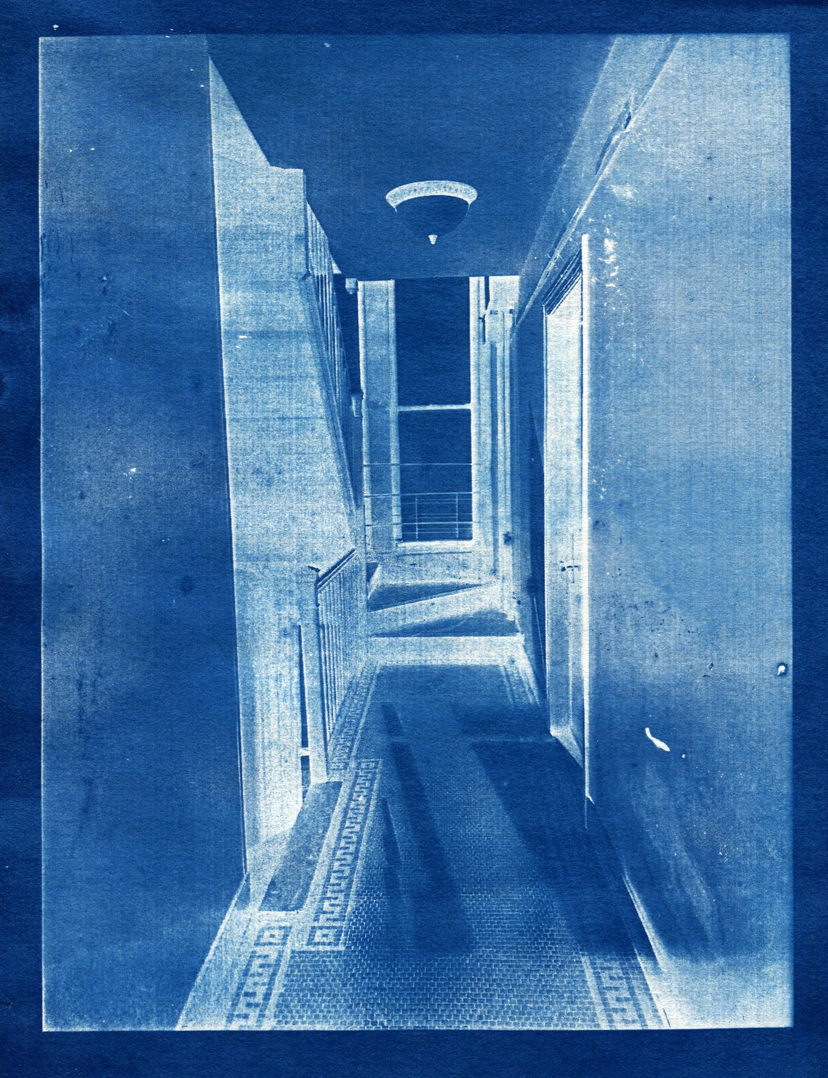 CyanotypeSeries-Inverted.jpg