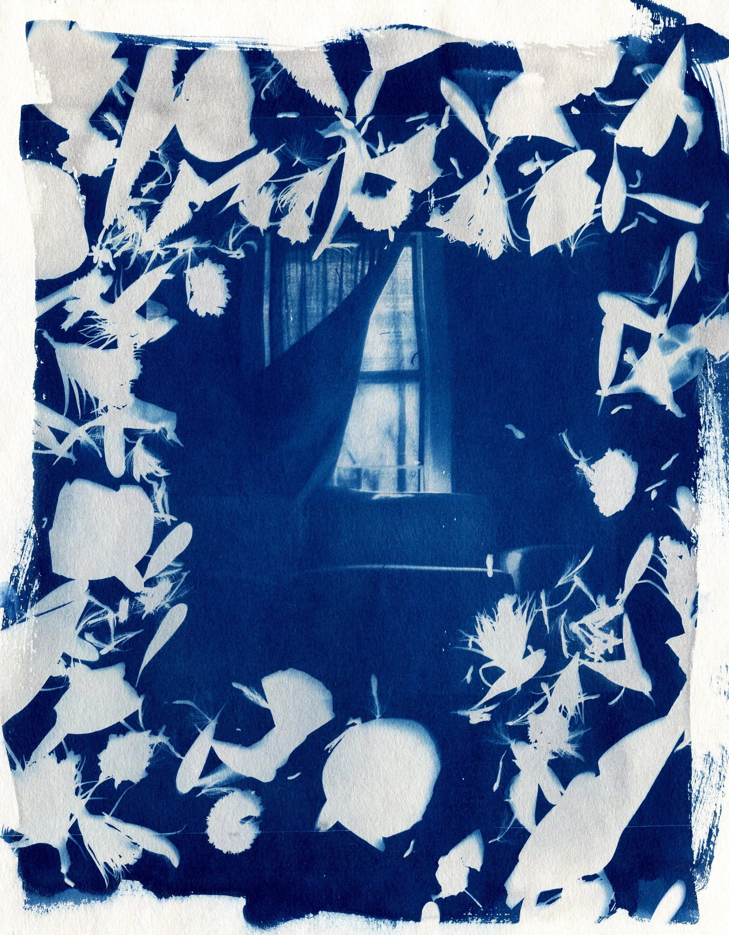 CyanotypeSeries-Transition.jpg