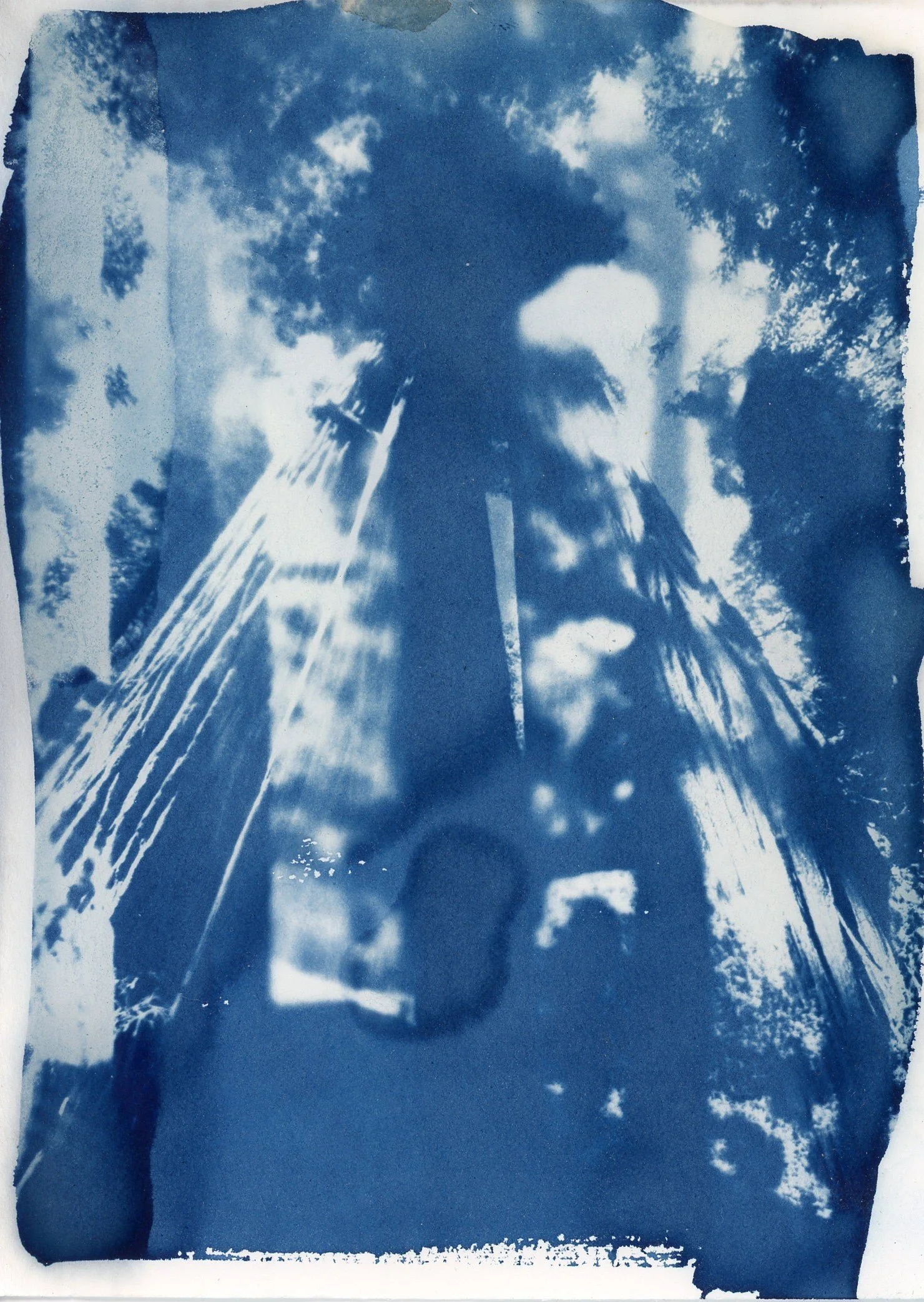 cyanotype003.jpg