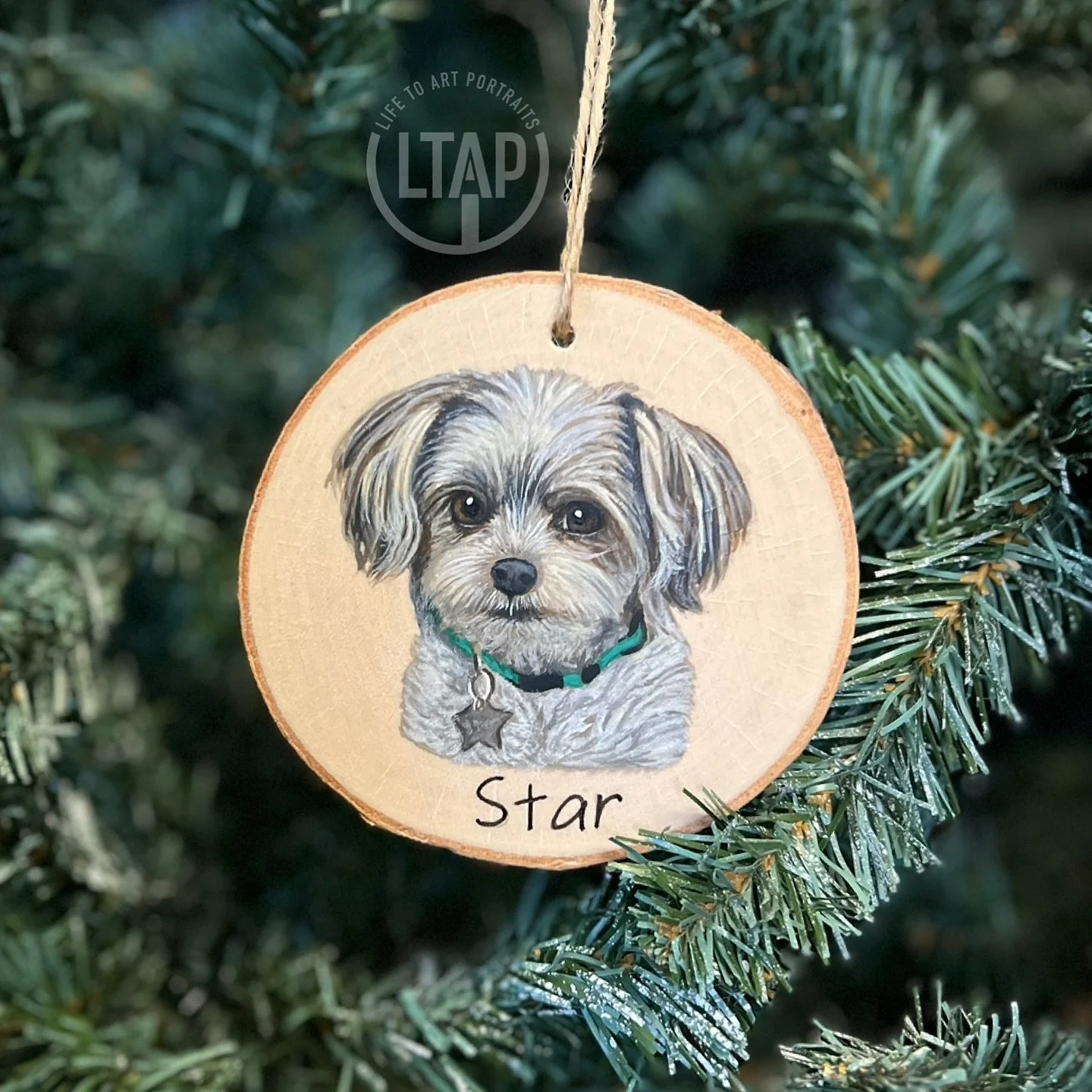 I hope everyone had a wonderful Christmas!  I took a break from posting and just focused on my to do list this year, and it was nice! This is the first of five pets I painted that were commissioned and given as gifts this Christmas. 🎄 Look at this s