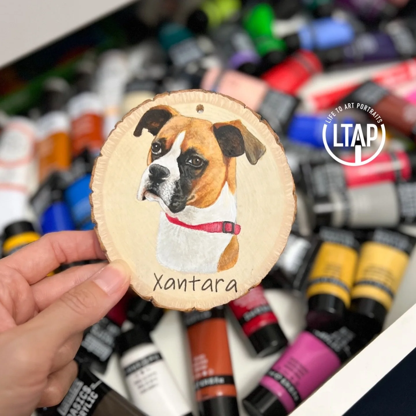 I had the privilege of painting a beautiful boxer girl recently. Sadly, she crossed the rainbow bridge, and the family commissioned me to paint her portrait. 

They chose to do both the hole with string and the easel. So, her portrait rests with her 