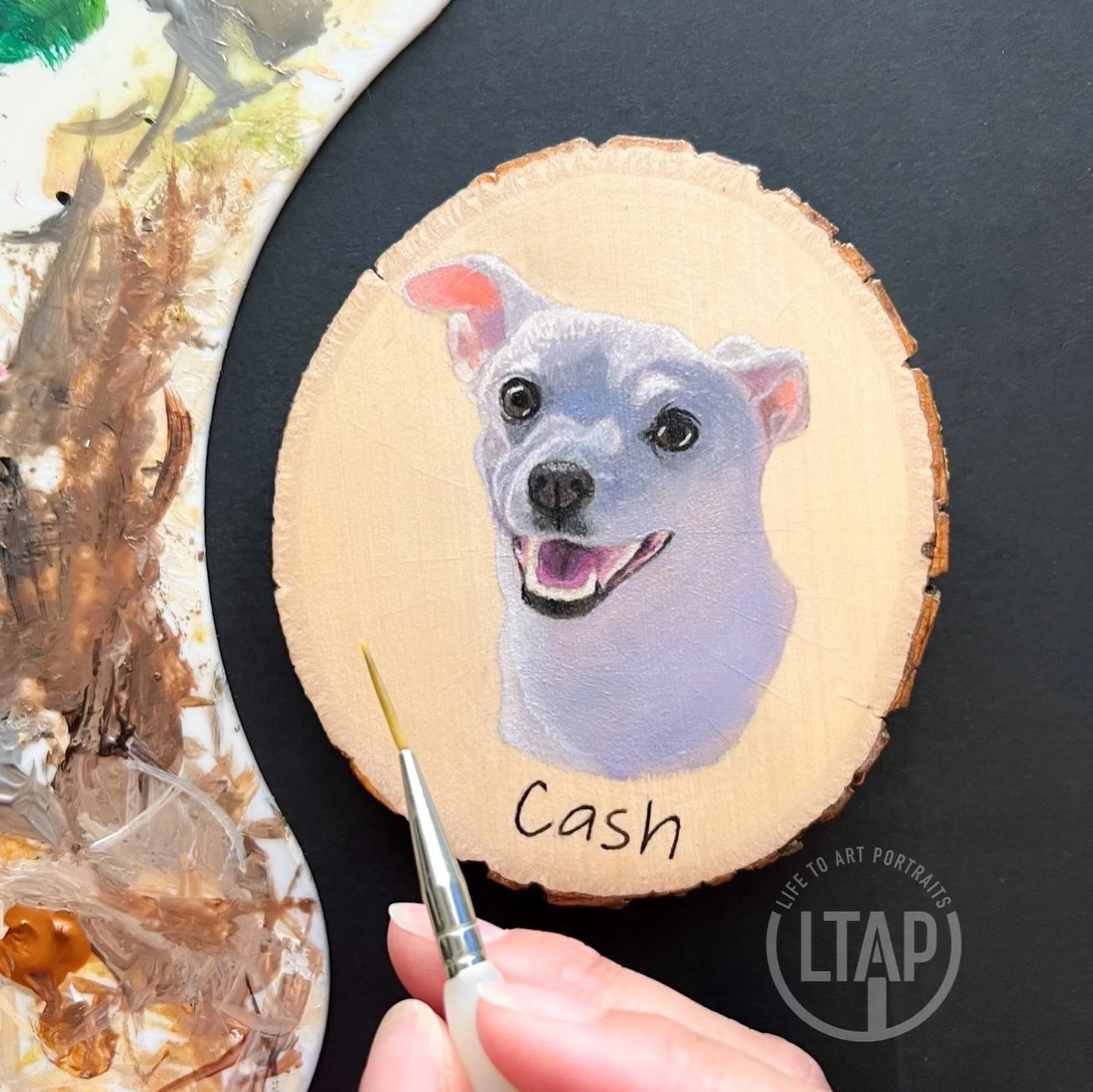 Cash is too cute to not have another spot on my feed. His painting was ordered as a gift for a family member who had to say goodbye to him recently. 💔 

Losing a pet is never easy, but I hope this portrait brings back happy memories for the family. 