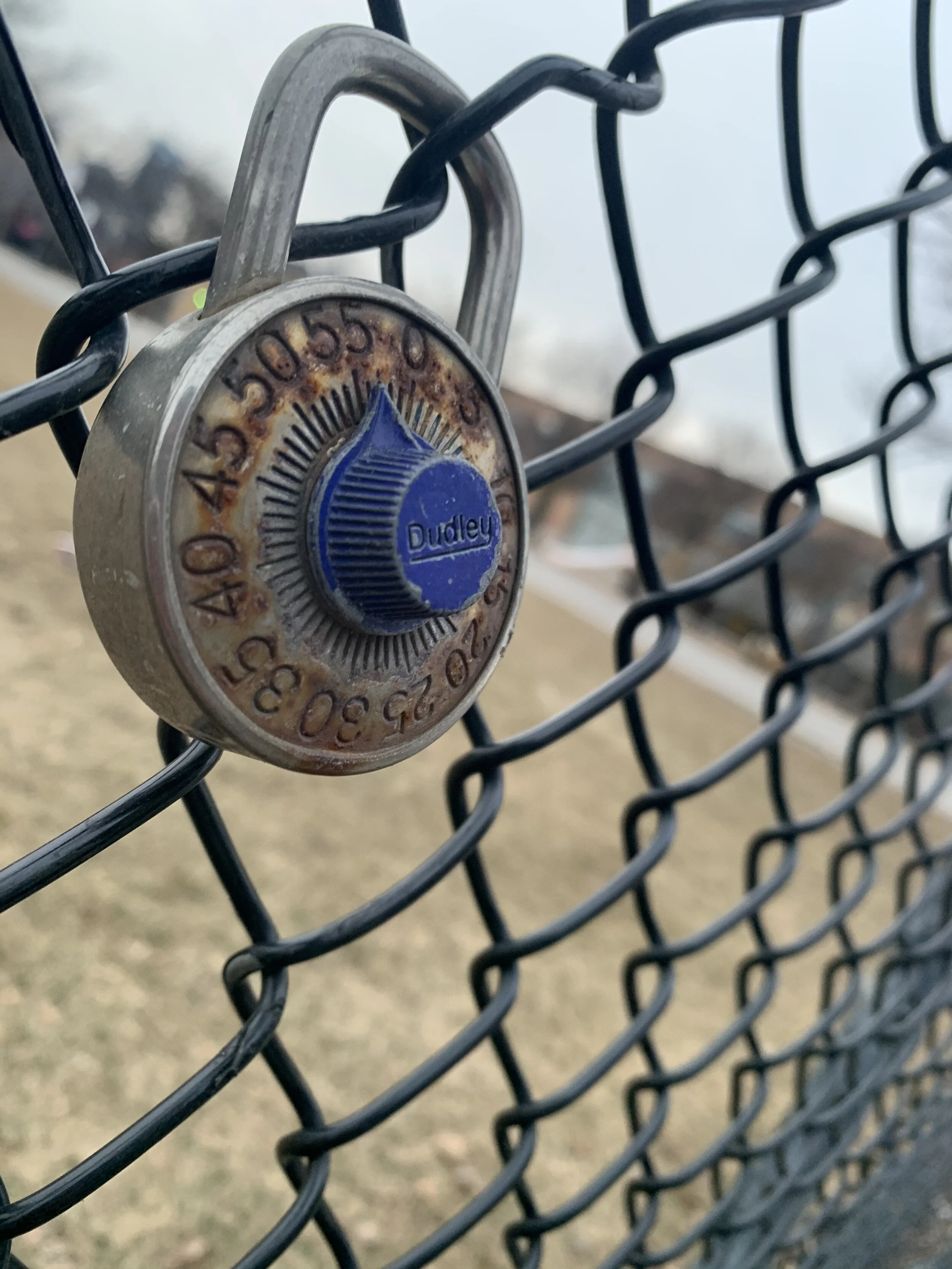 Blog Post 1 Photo.JPG