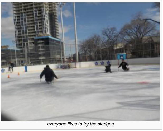 Rink Photo_3.png