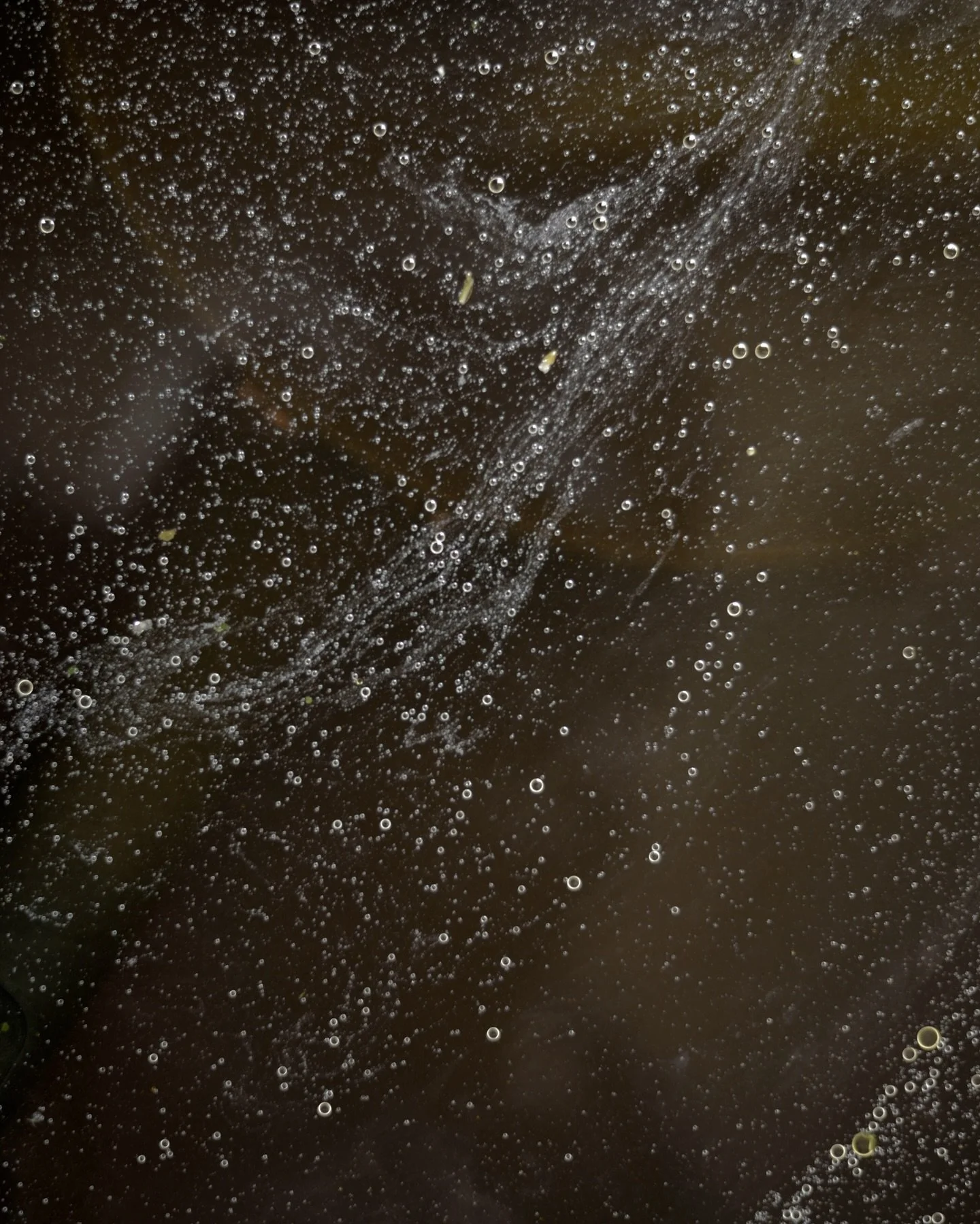 A kitchen sink galaxy of swirling fat globules&hellip; #photographinghome #touchhunger