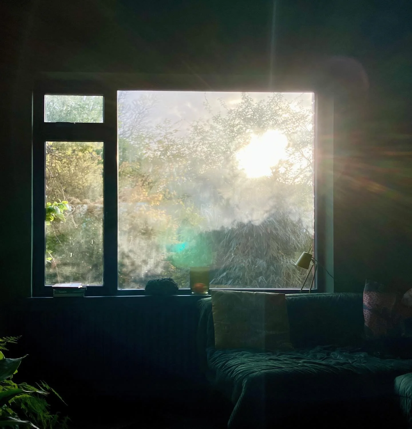 An t-Earrach/the Spring&hellip; beauty and sadness #spring #vernal #asgaeilge #stopthewars #freepalesti̇ne