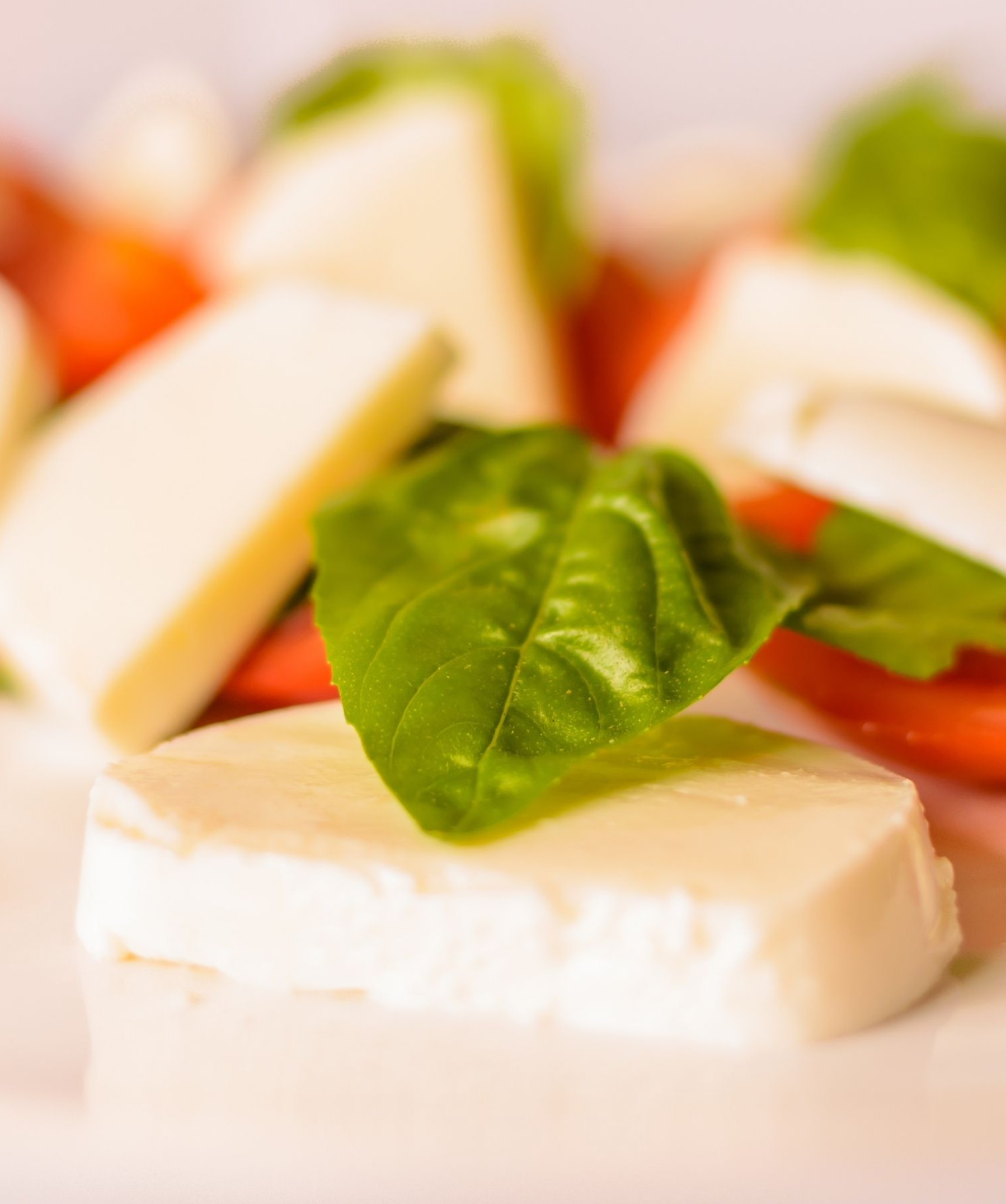 VM Vegan Italian Operations Insider