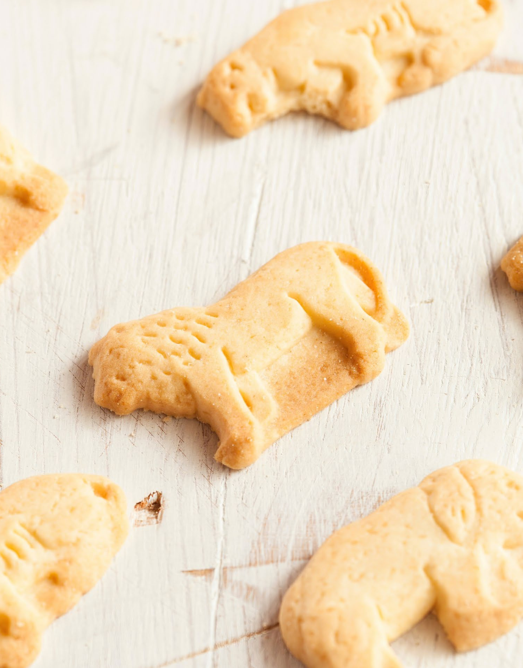 ANIMAL COOKIES