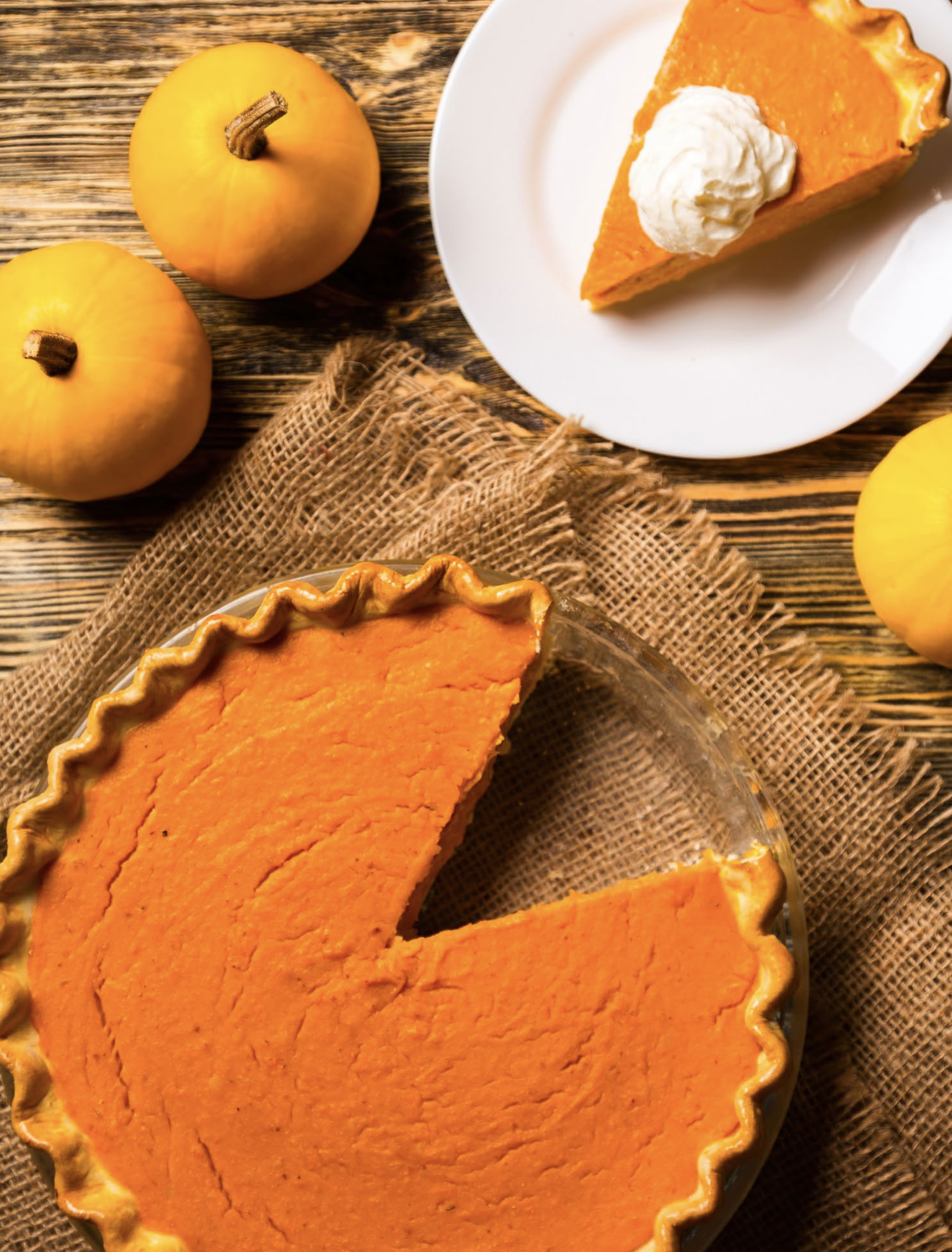 GORGEOUS PUMPKIN PIE