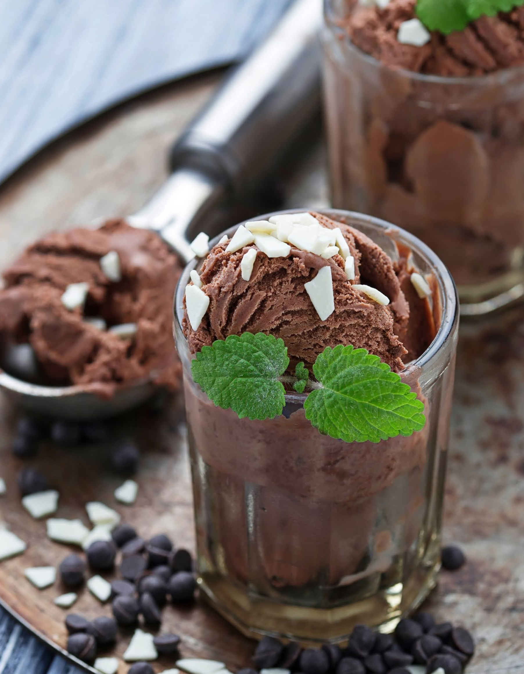 MINT CHOCOLATE ICE CREAM