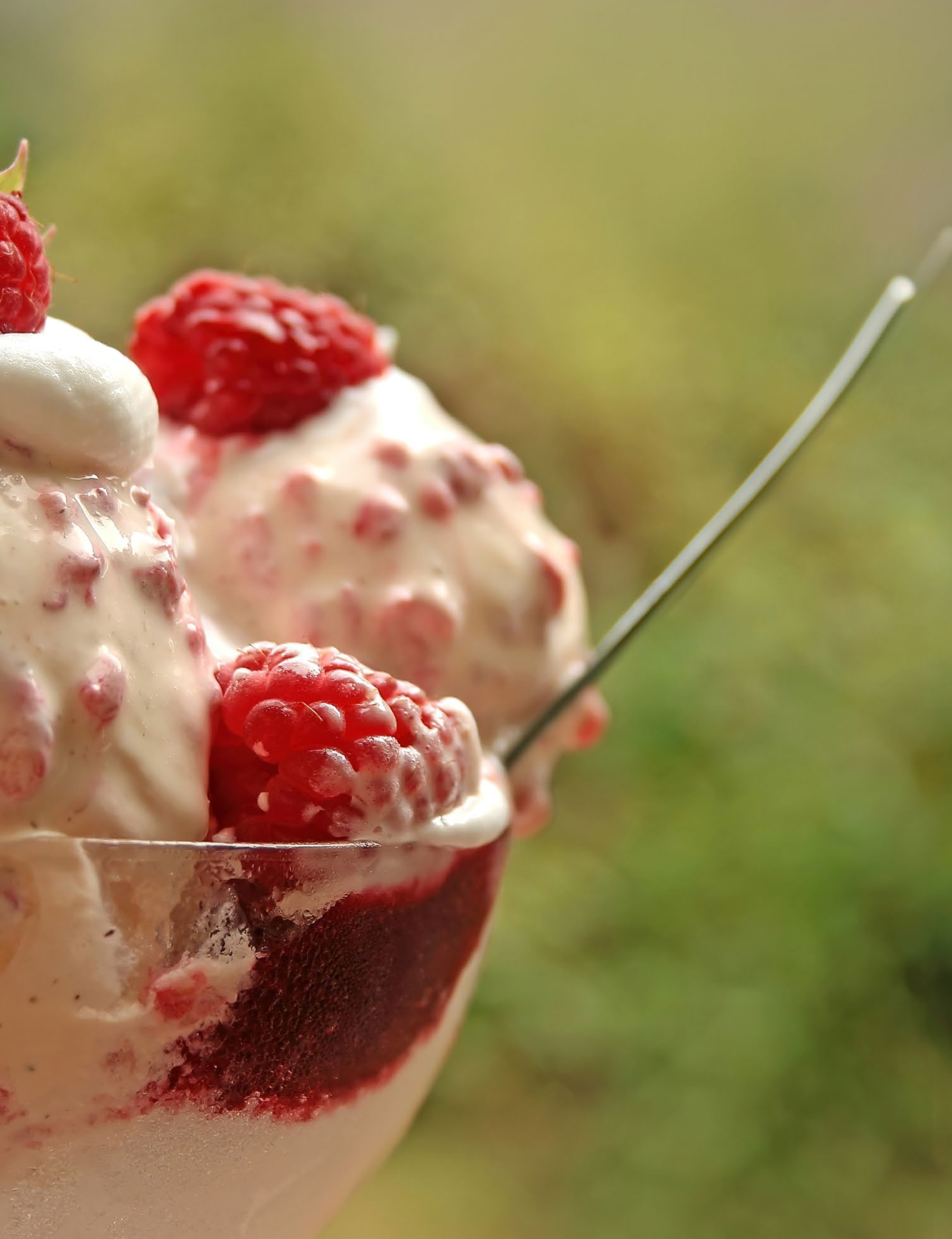 RASPBERRY DELIGHT