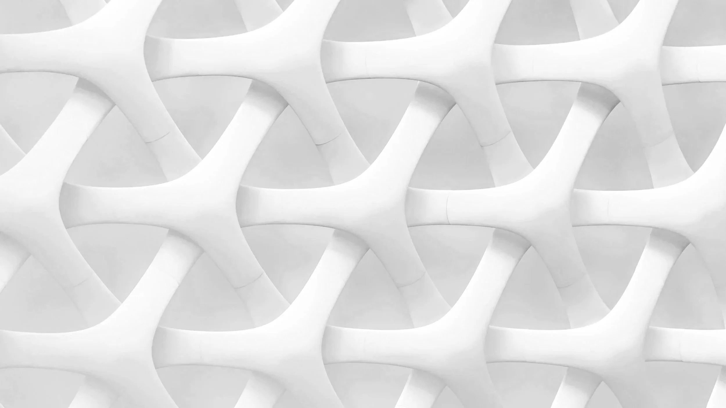 Integrating People, Process and Purpose: How Leaders Build Organizations That Perform as One System