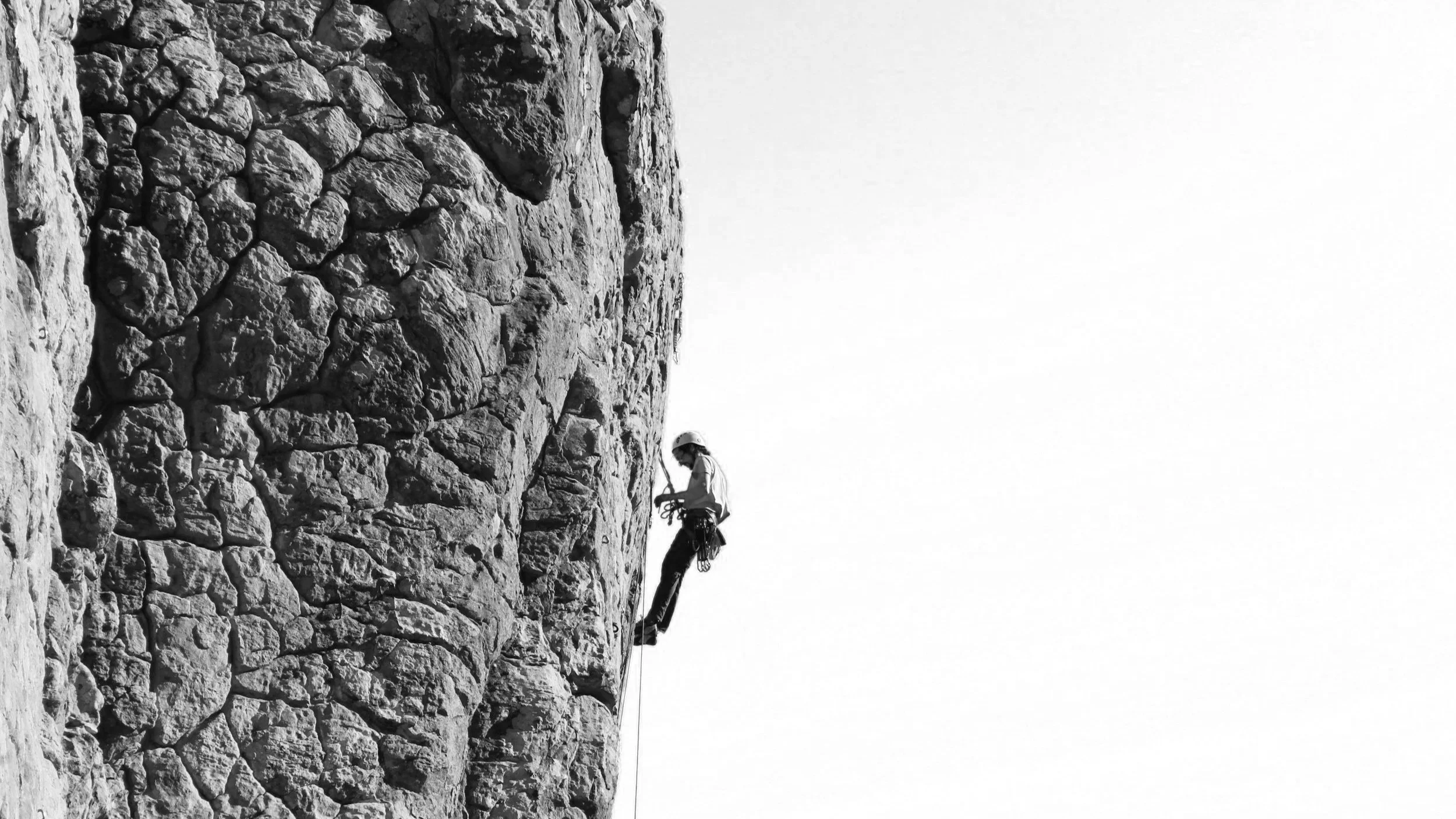 #22 — Scaling Through the Venture Life Cycle
