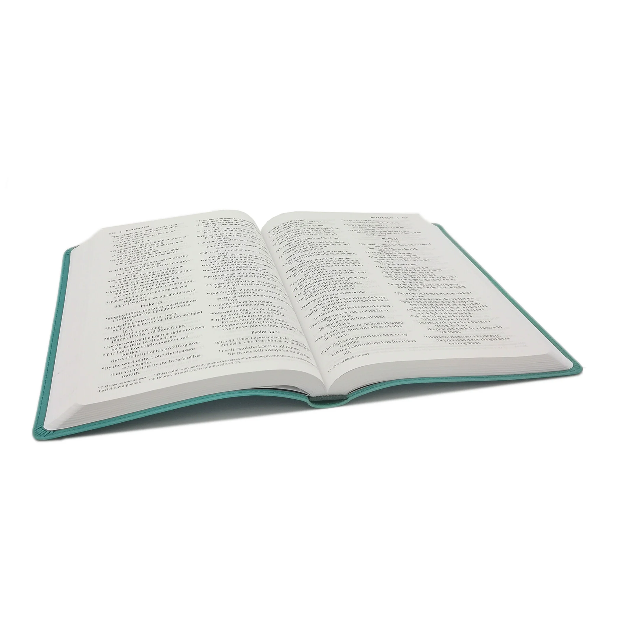 FAmily Devotional Bible open.jpg