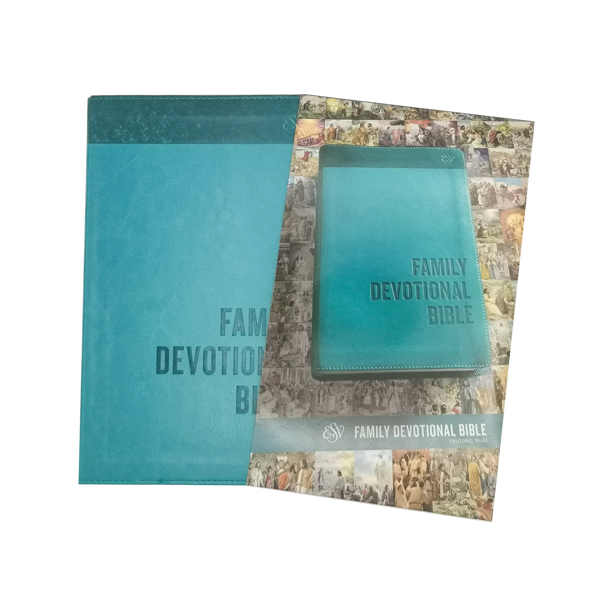 Family Devotional Bible cover.jpg
