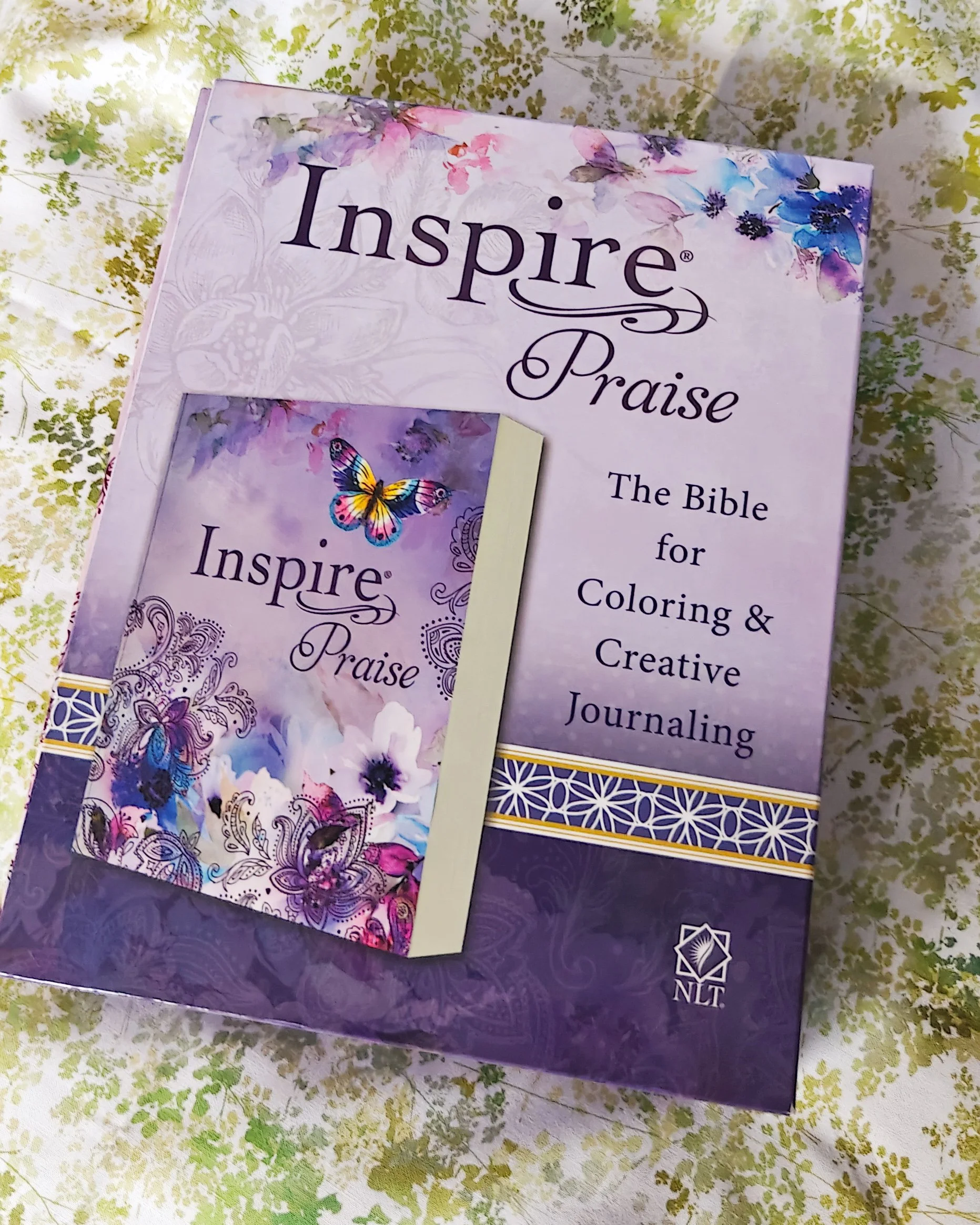 IMG20260422185714 (1).jpg