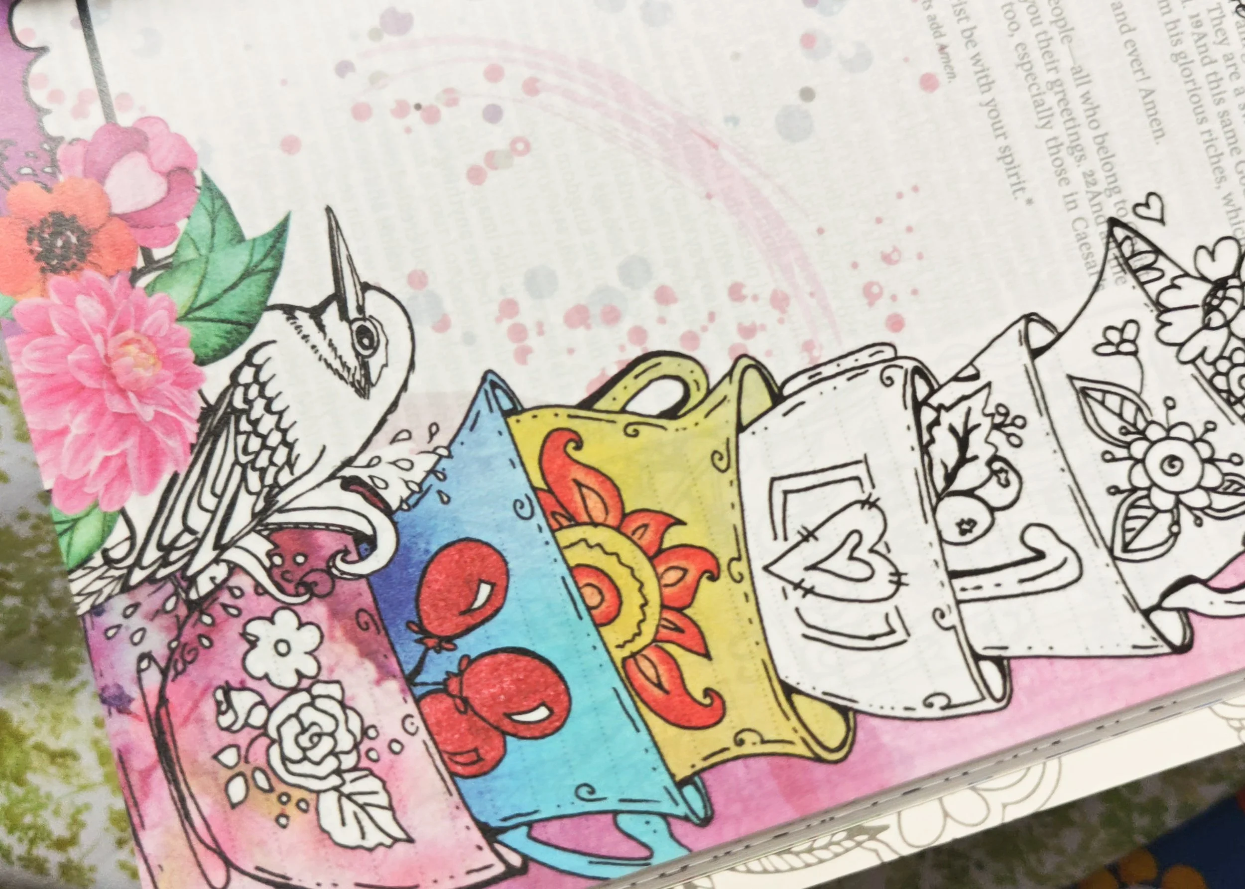 IMG_20260423_08470658 (1).jpg