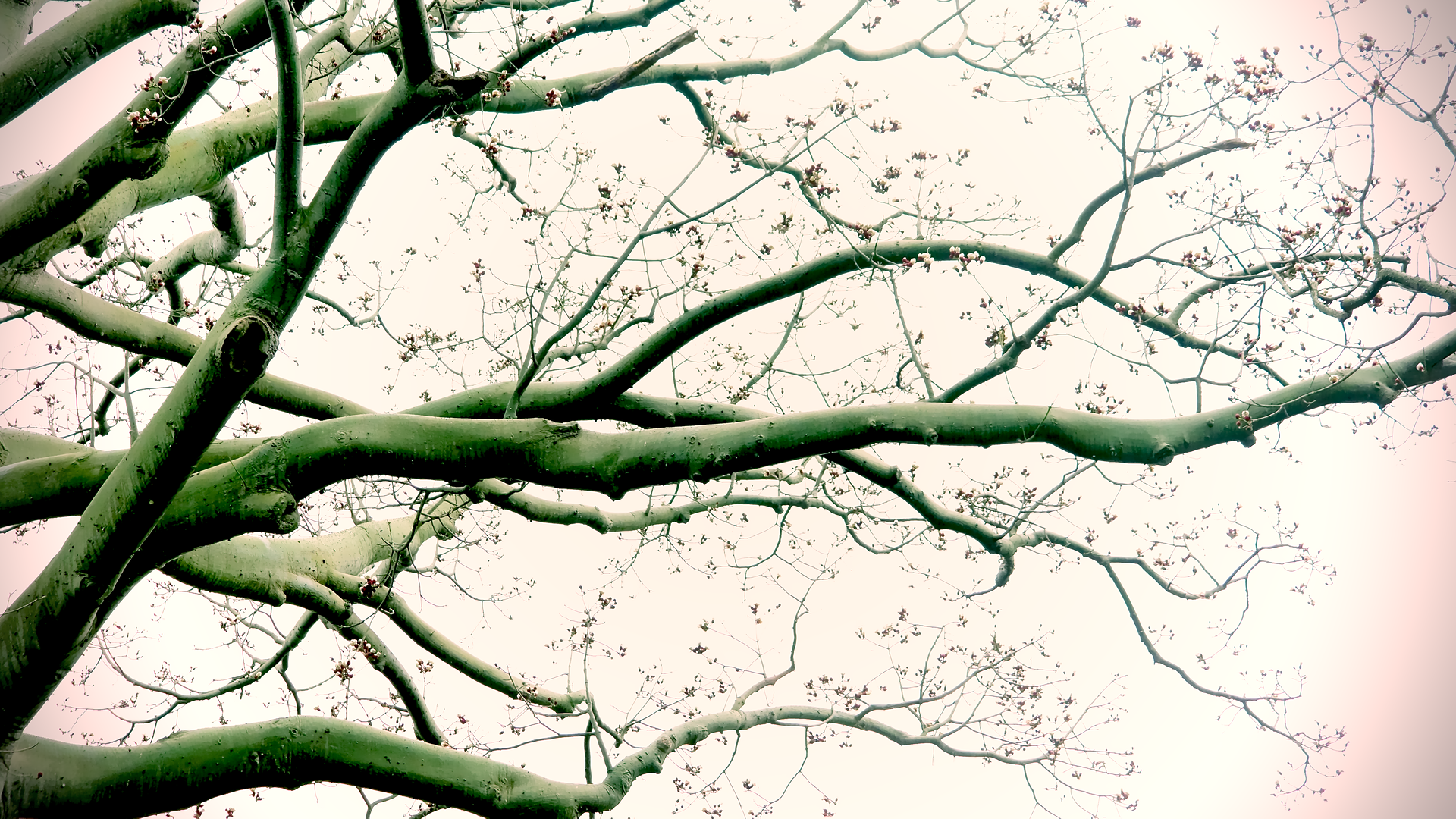_DSC6720.png