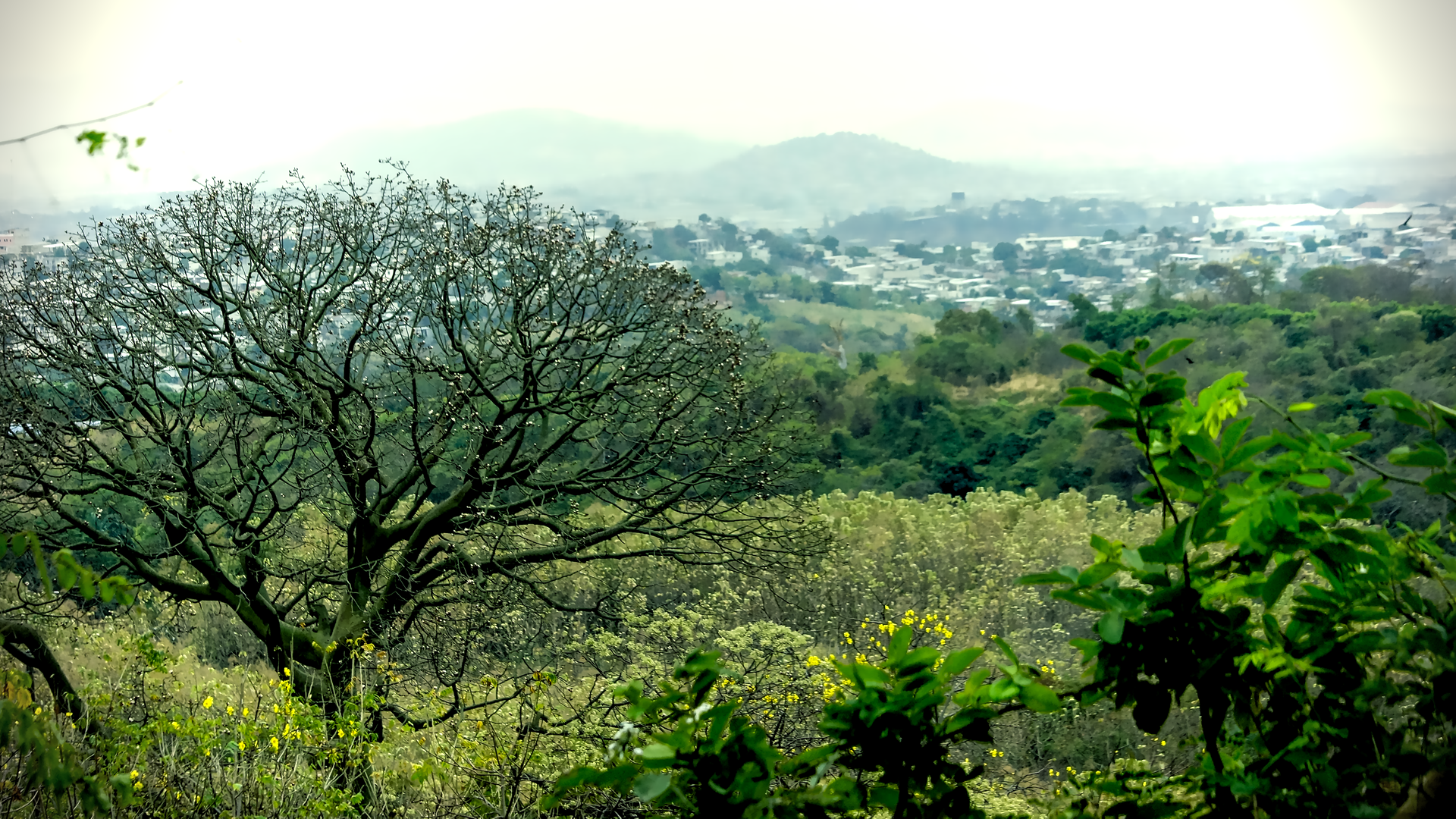 _DSC6727.png