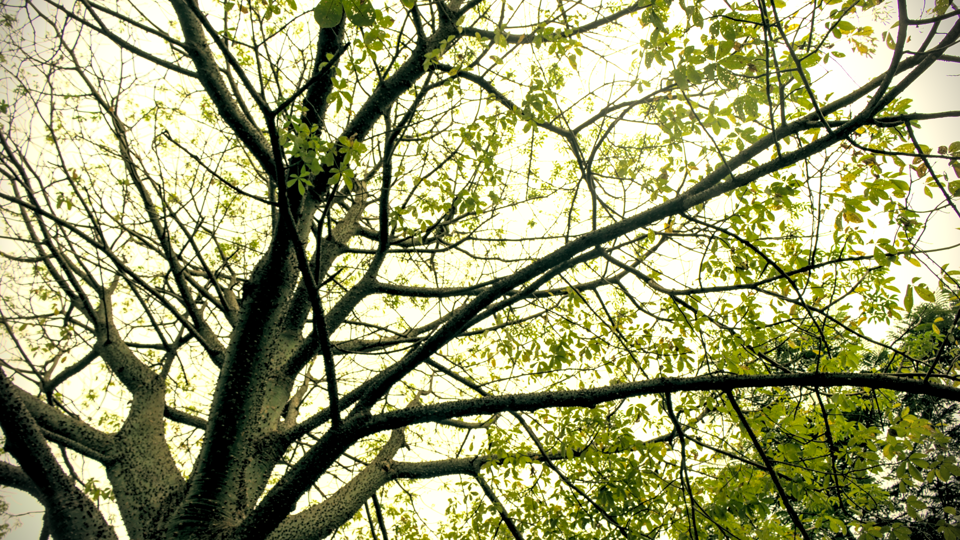 IMG_9128.png