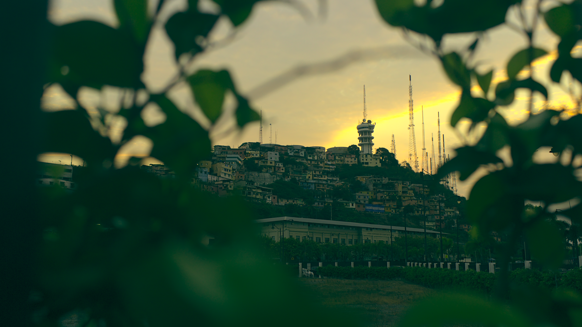 IMG_0067.png