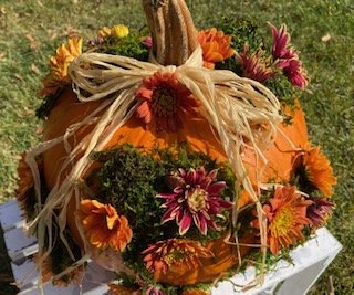 Fall Fun