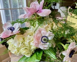 Pretty Pink Anemones
