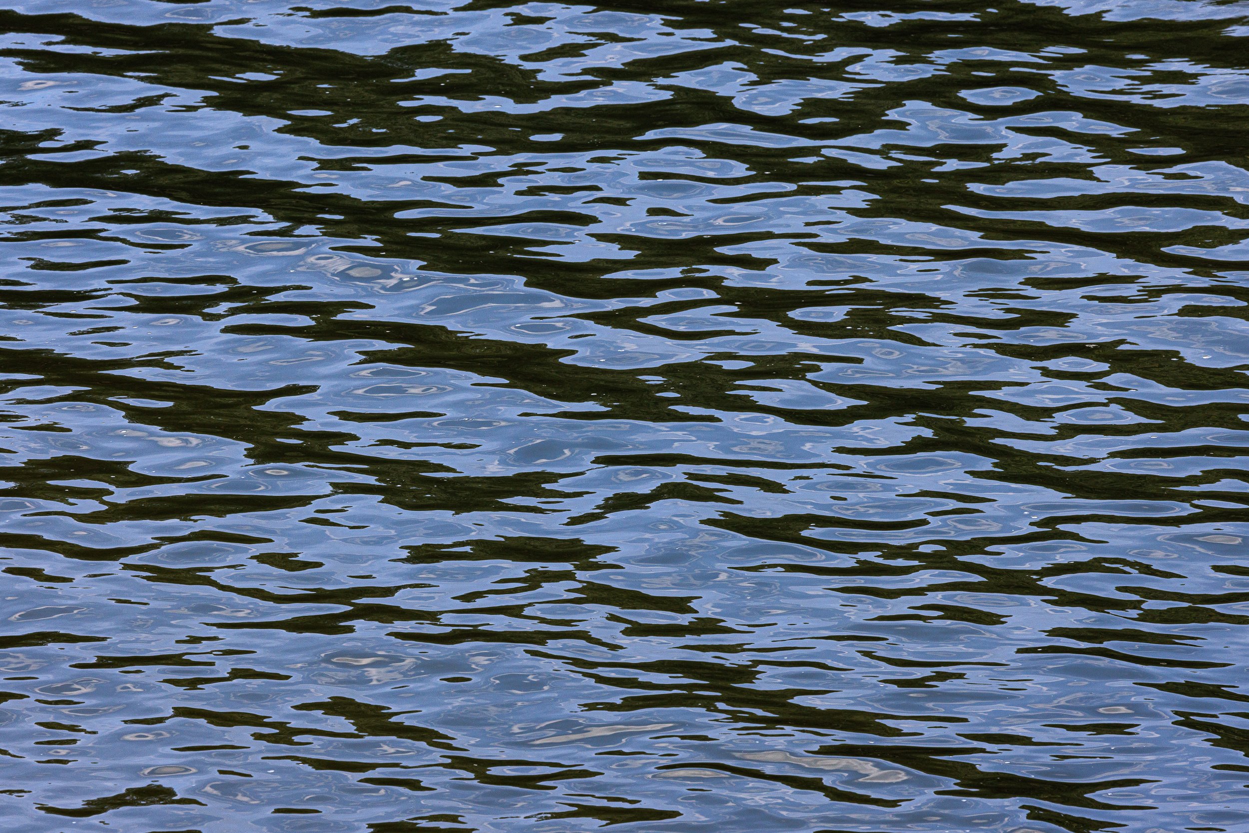 Ripples, Washington