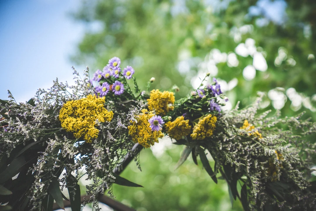 Cottonwood_Glen_Grand_Opening_6.20.19_144_vendor.jpg