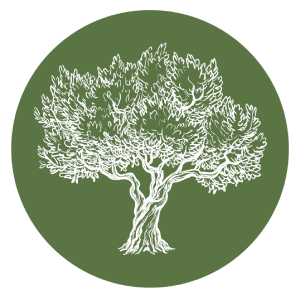 Olive Tree Properties