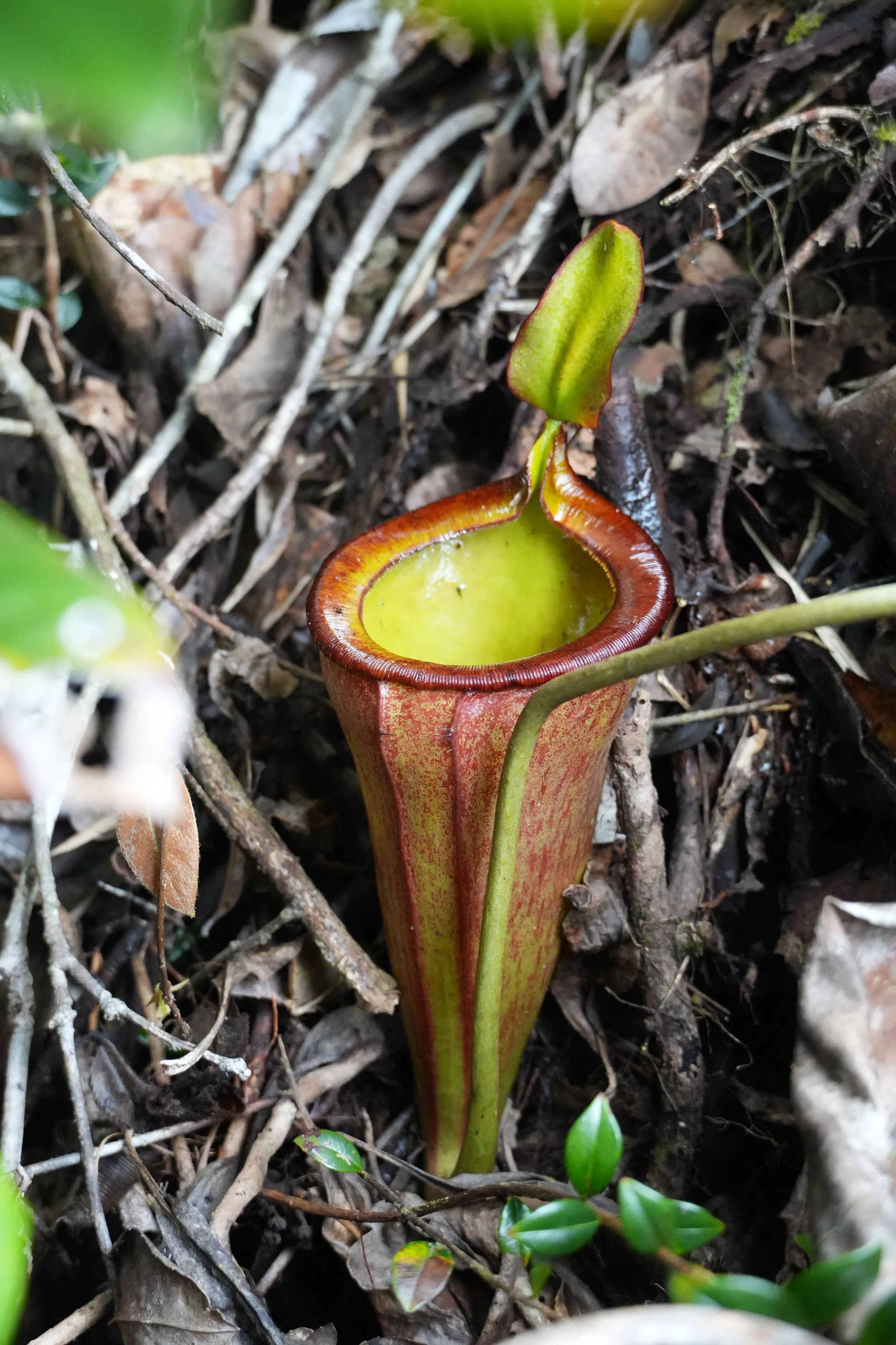 ACM03803.jpg