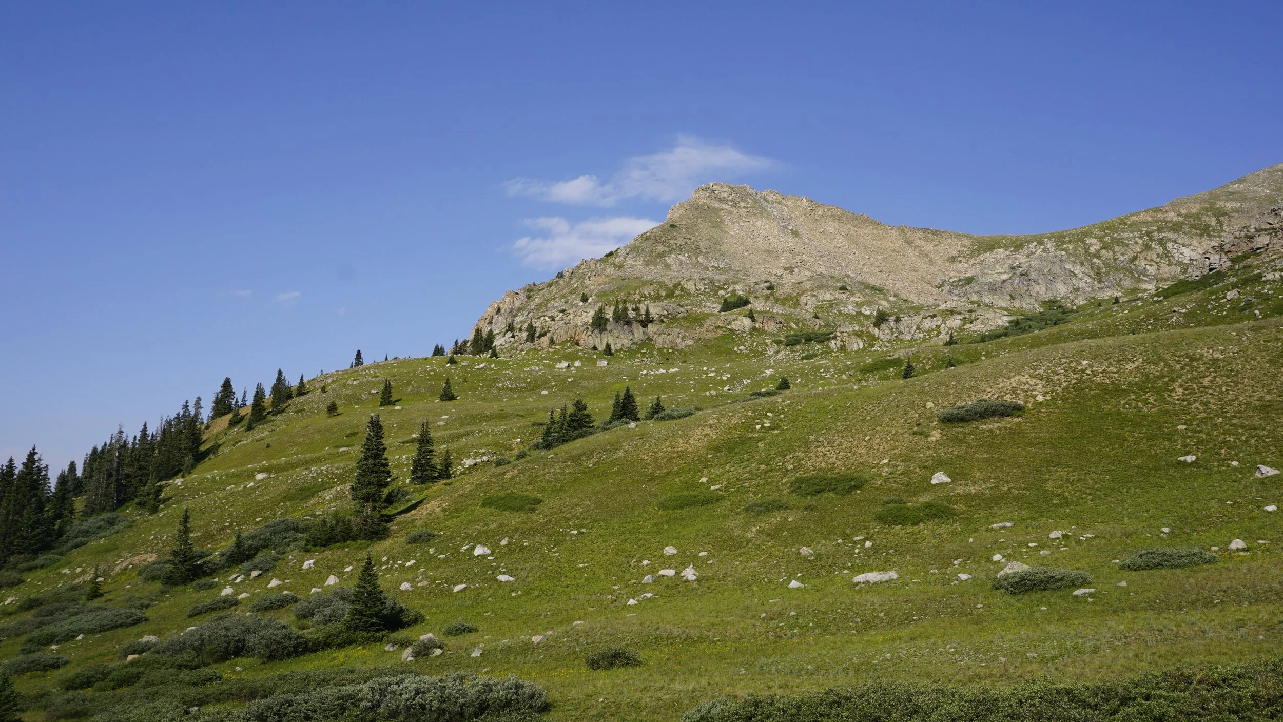 _DSC7219.JPG