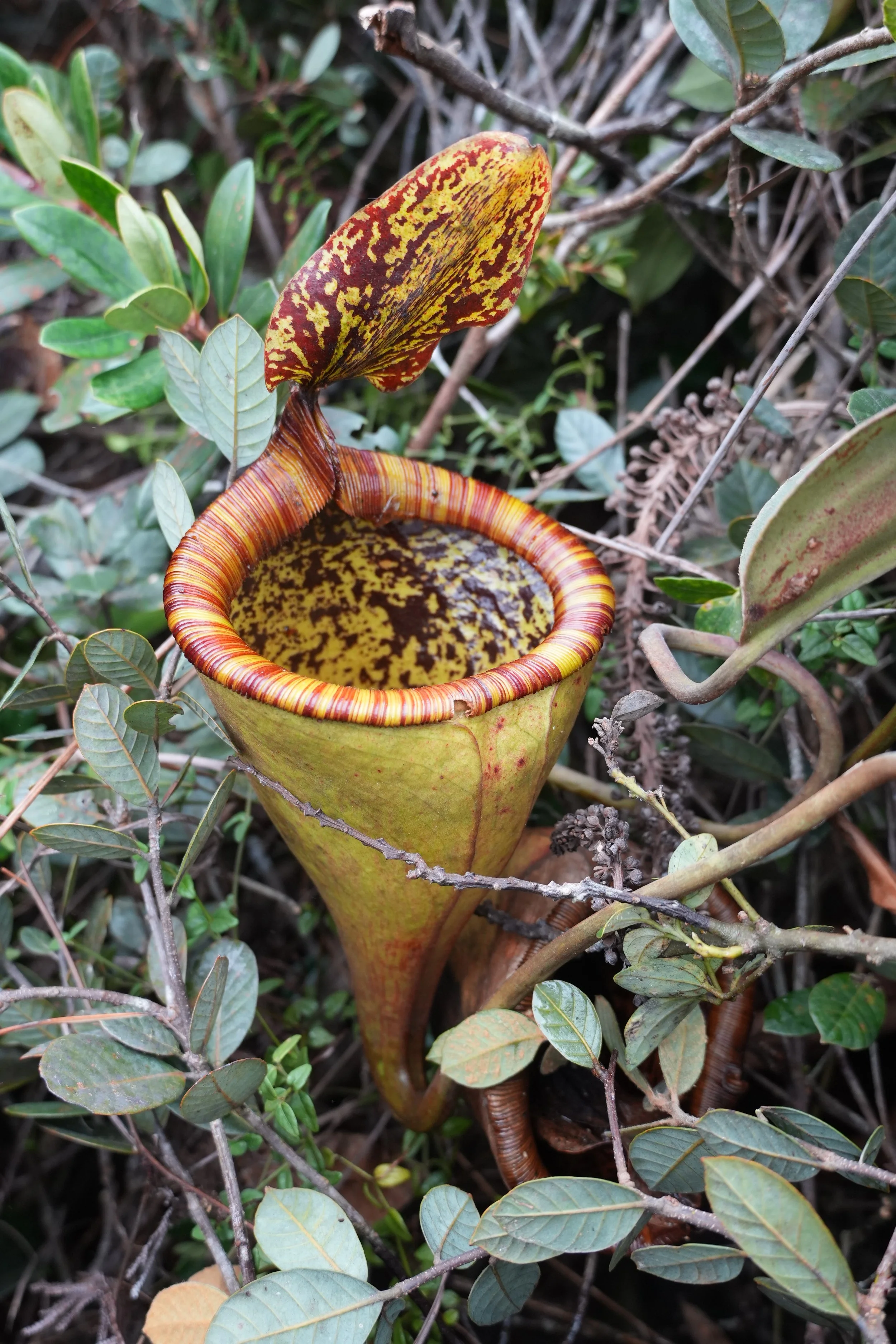 ACM03438.jpg