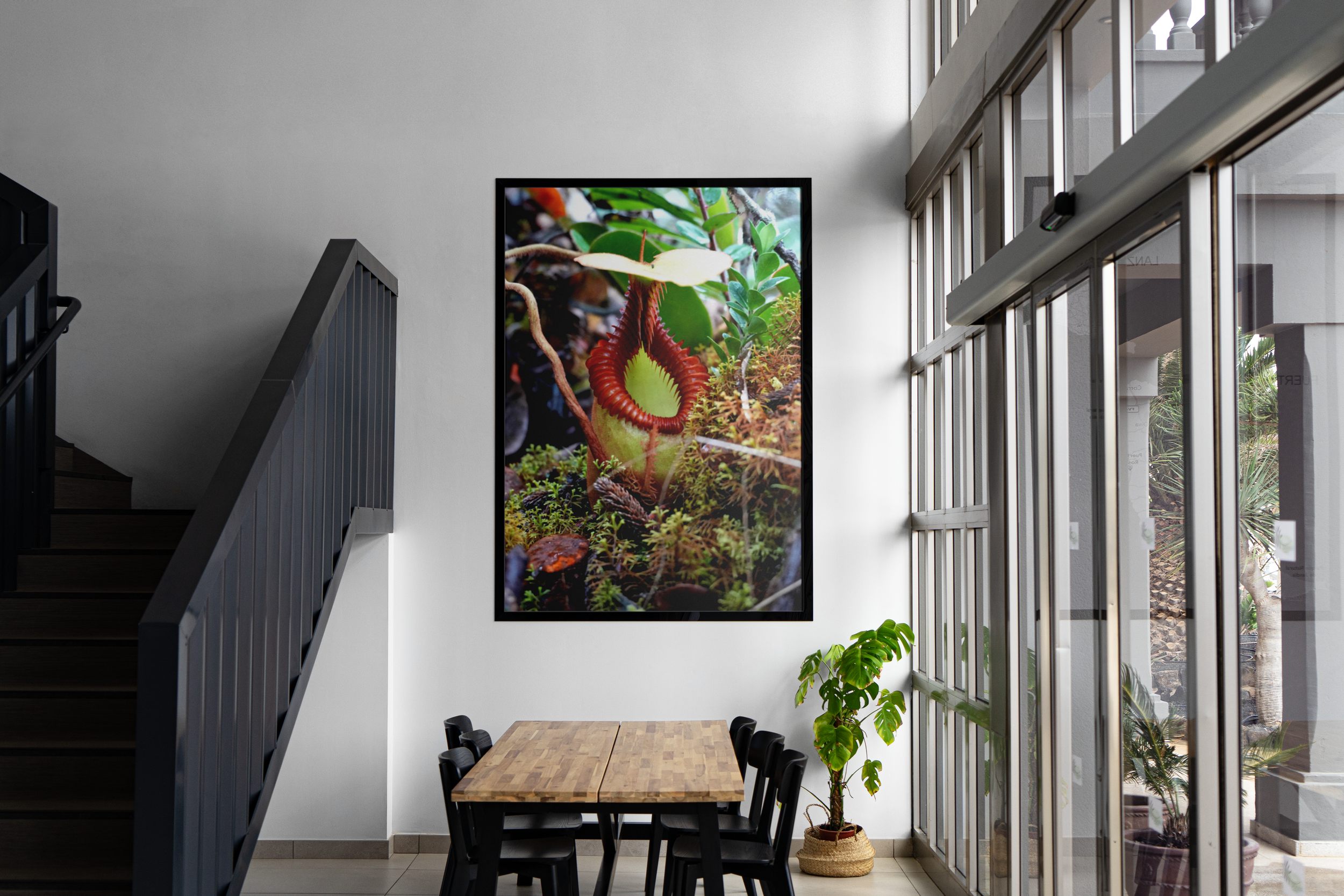 Nepenthes villosa - Moss Mockup.png