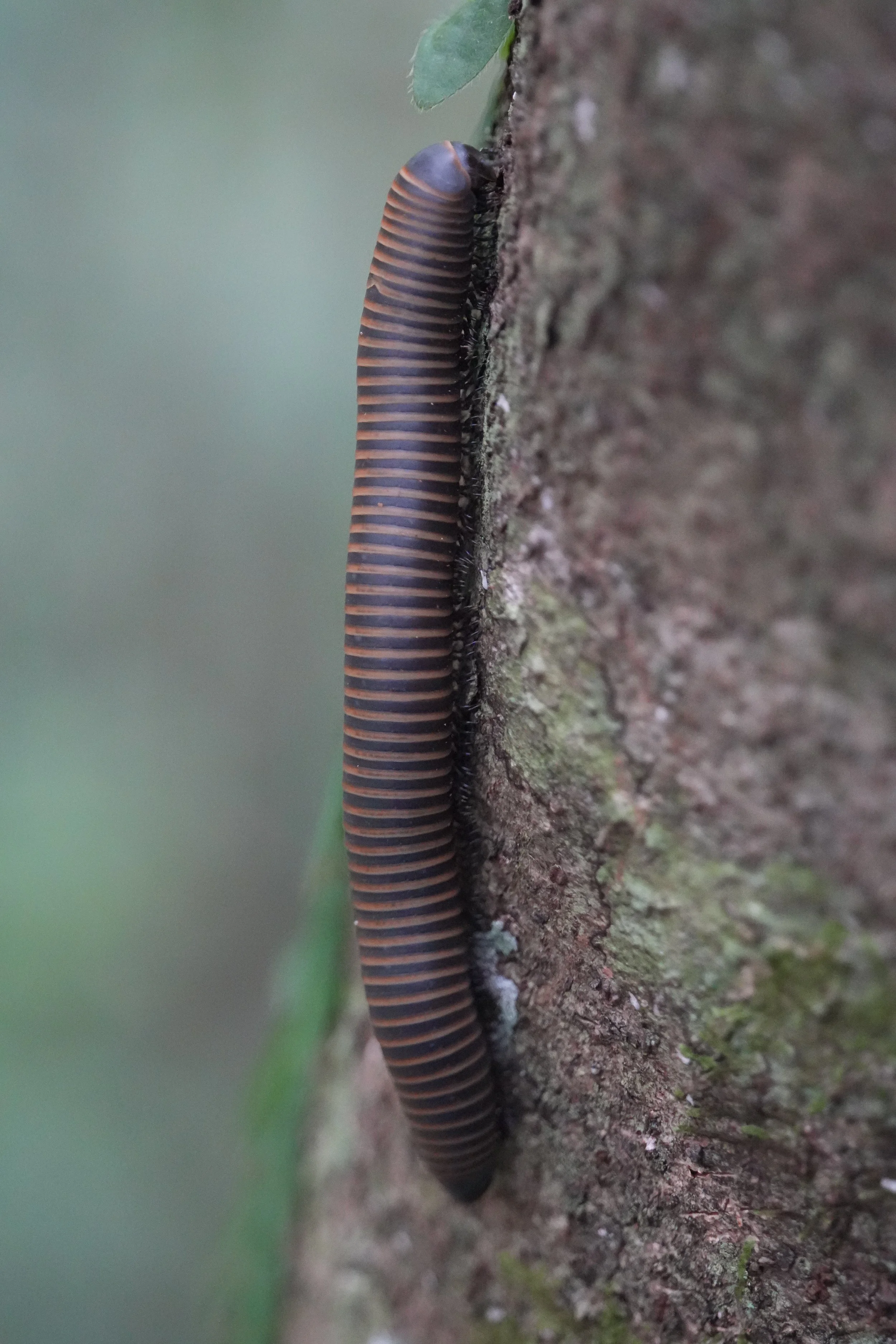 ACM04475.jpg