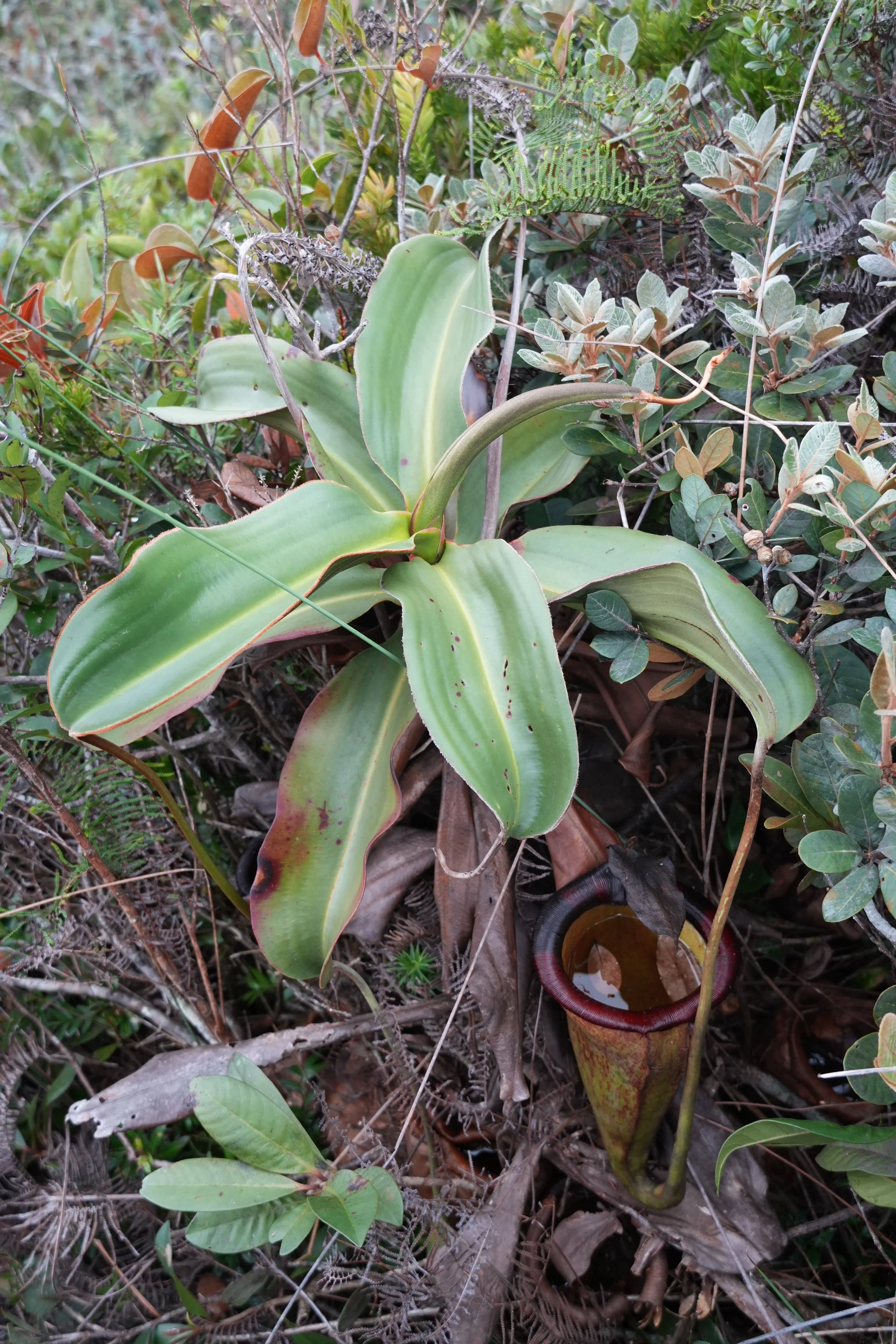 ACM03202.jpg